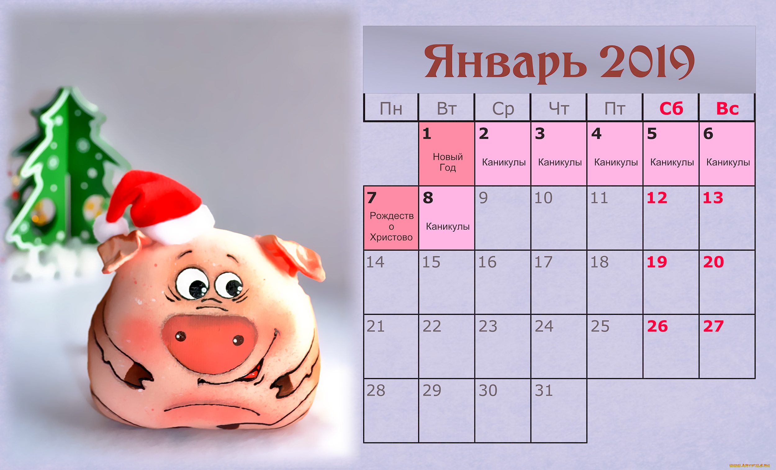 календари, праздники, , салюты, свинья, шапка, поросенок