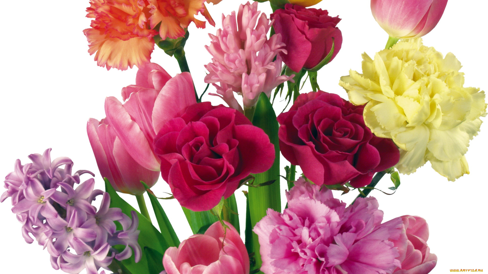 цветы, букеты, композиции, гиацинт, гвоздики, тюльпаны, розы