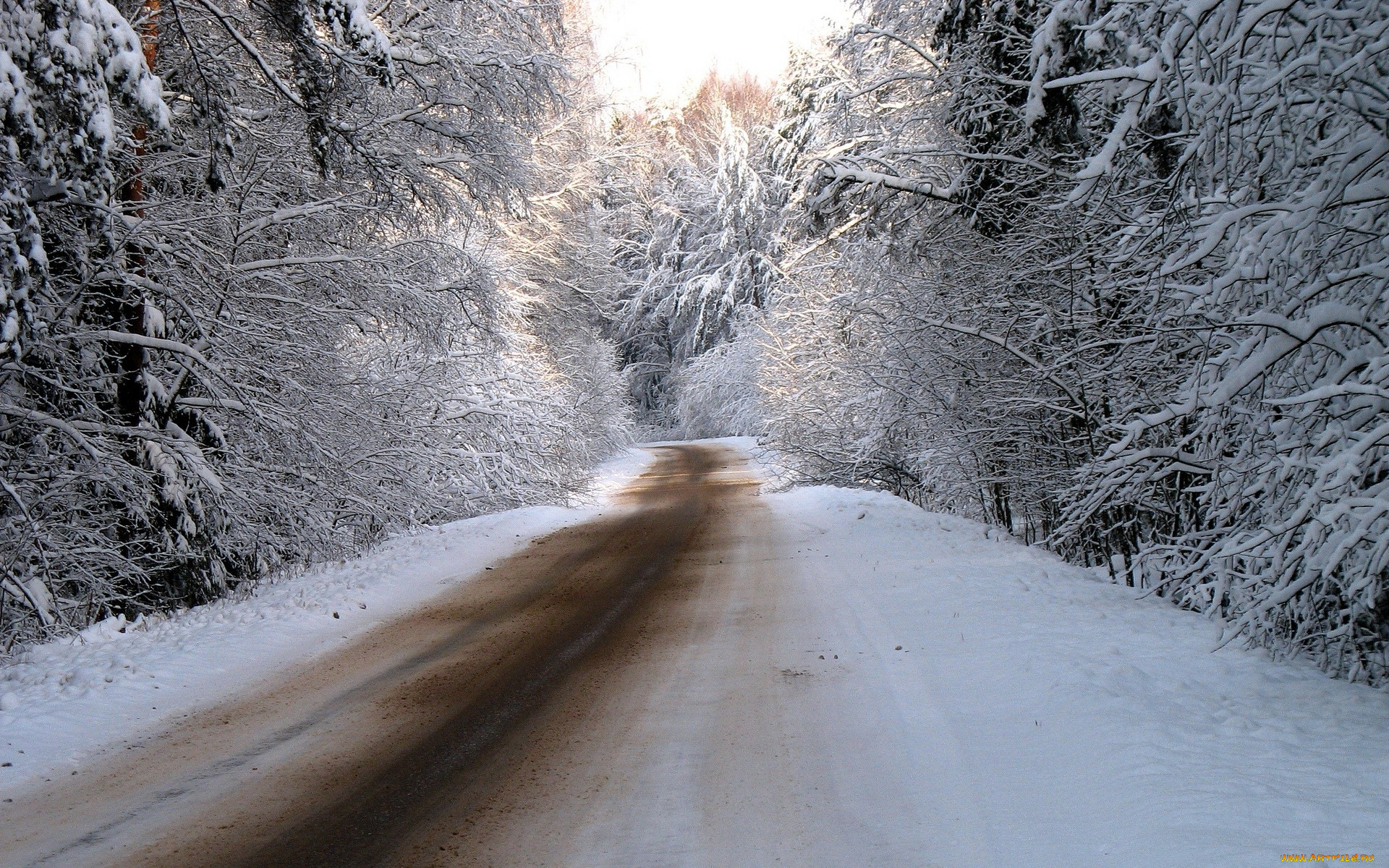 природа, дороги, дорога, деревья, зима