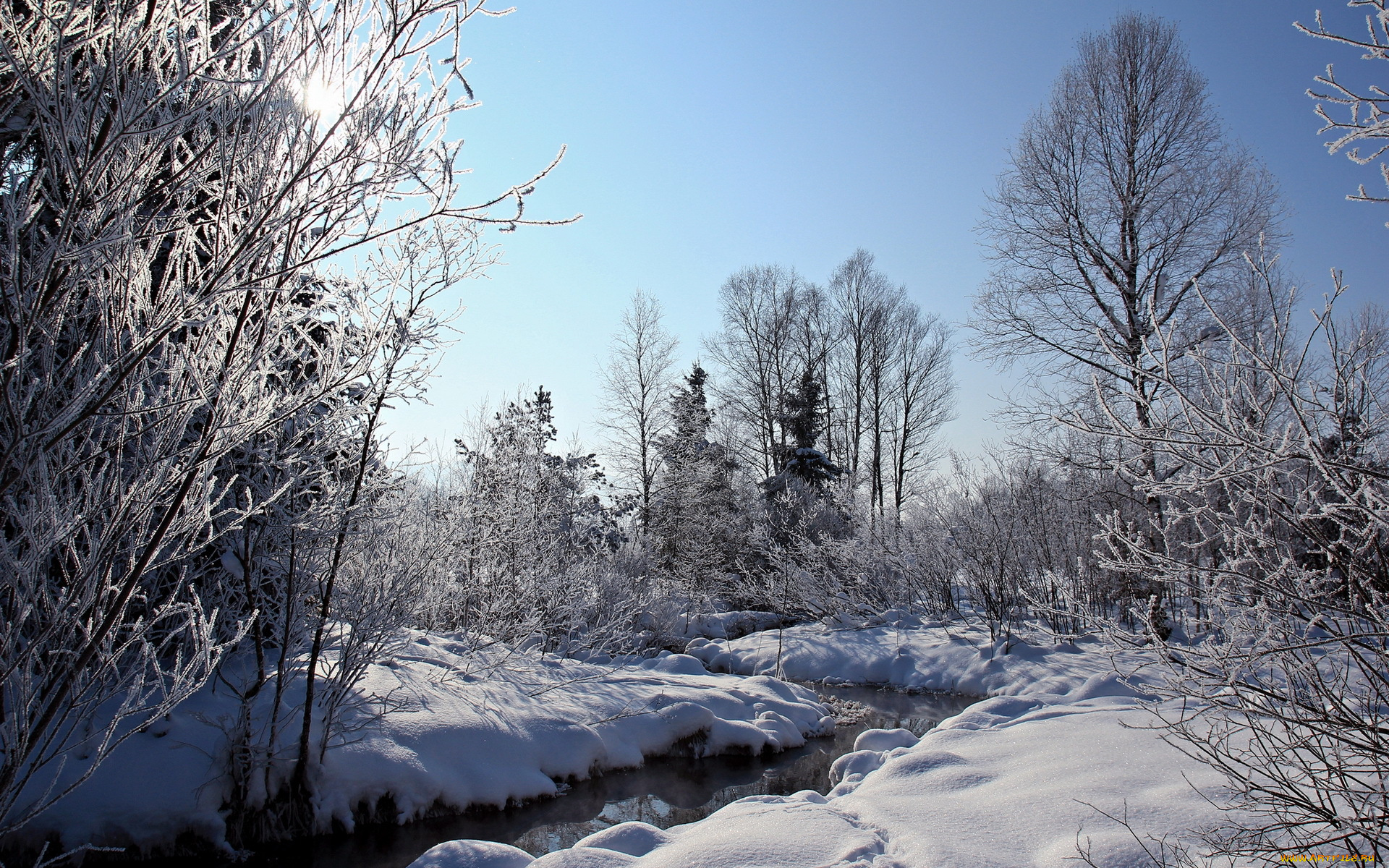 природа, зима, ручей, лес