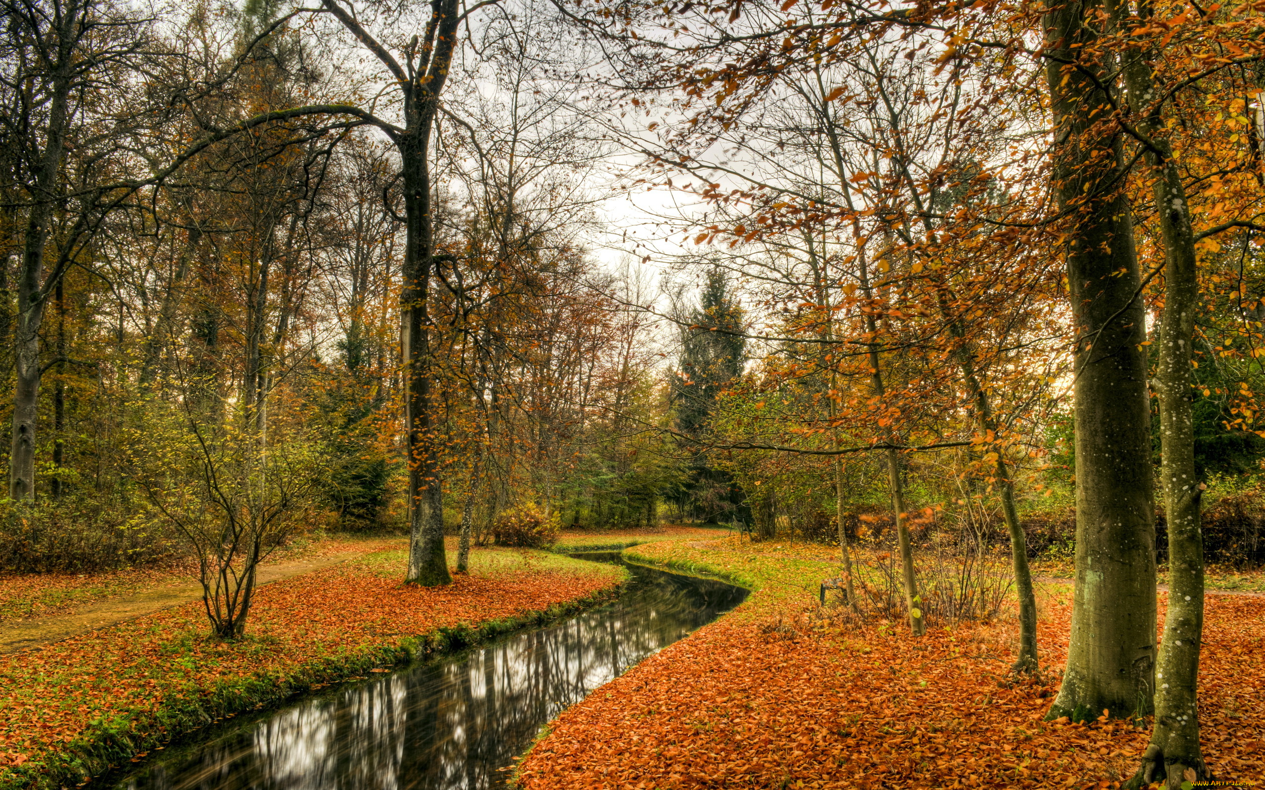 Осенние пейзажи вдоль реки без смс