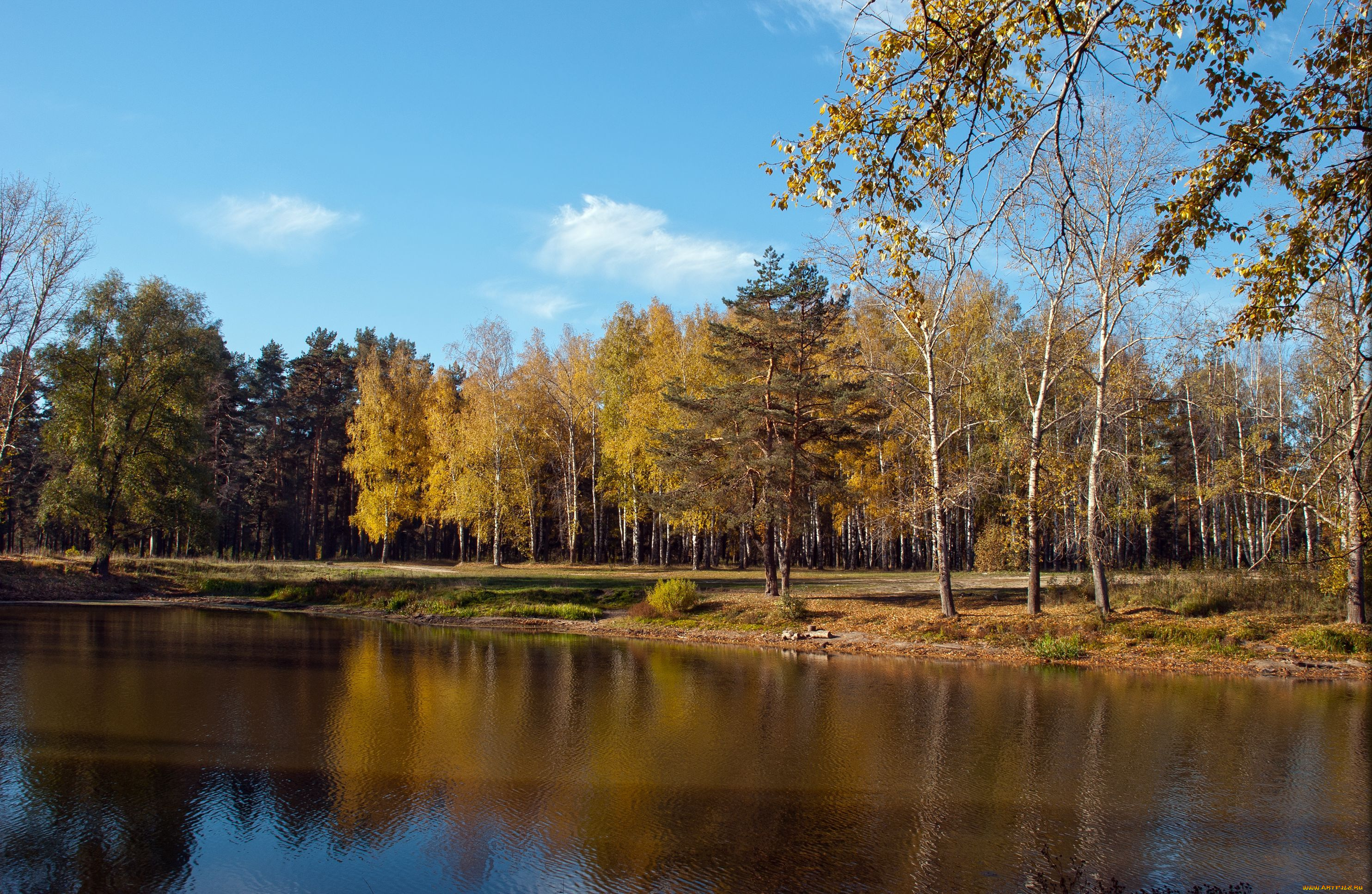 природа, реки, озера, осень, лес, озеро, небо, облака