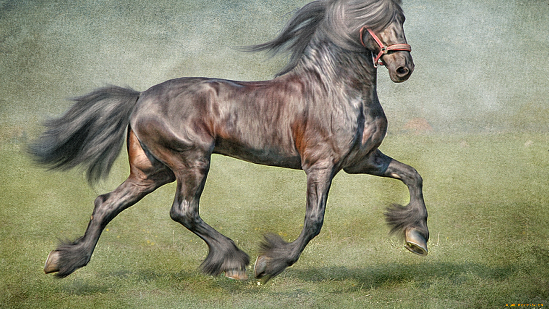 рисованные, животные, текстура, лошадь, конь