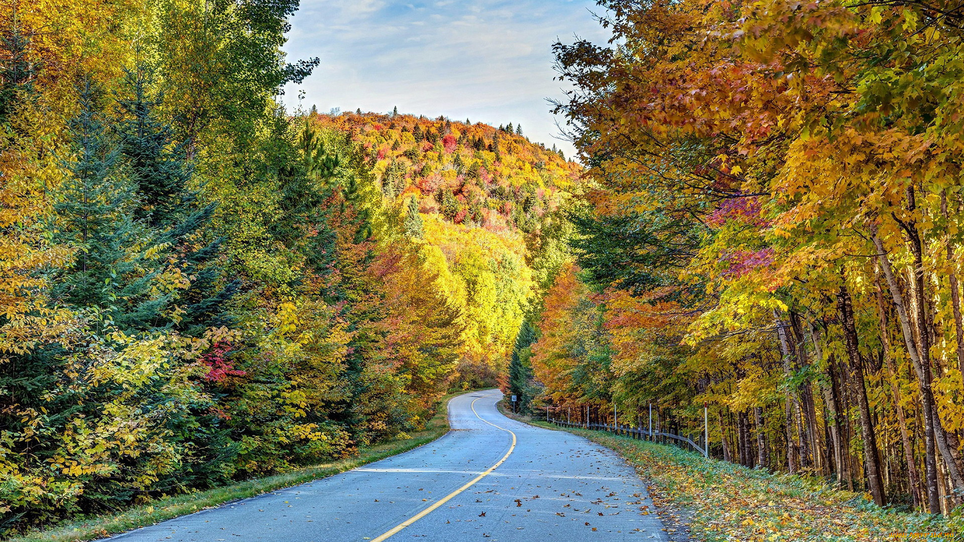 природа, дороги, листопад, шоссе, осень