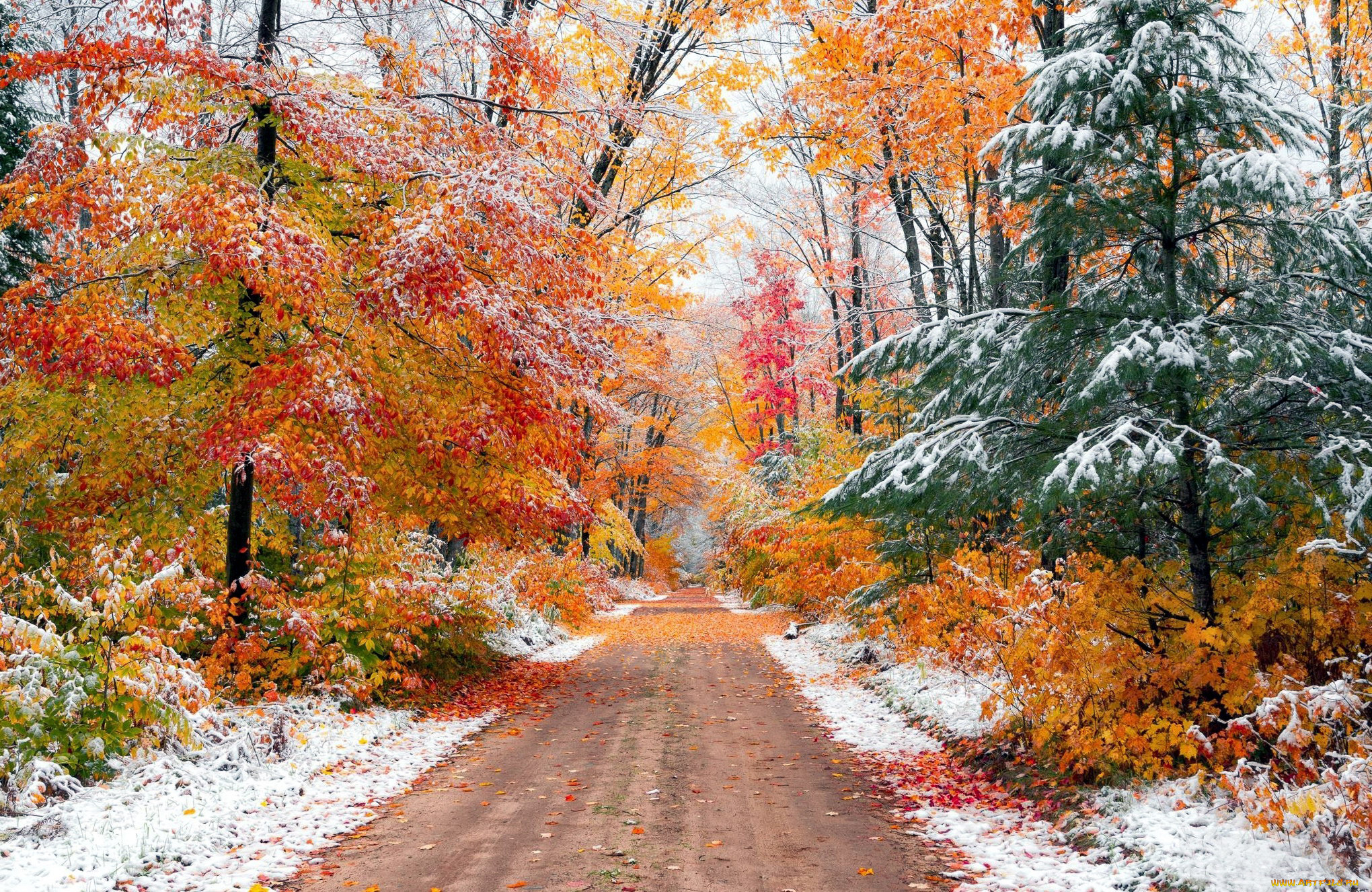 природа, дороги, дорога, лес, проселочная, осень, листопад, снег