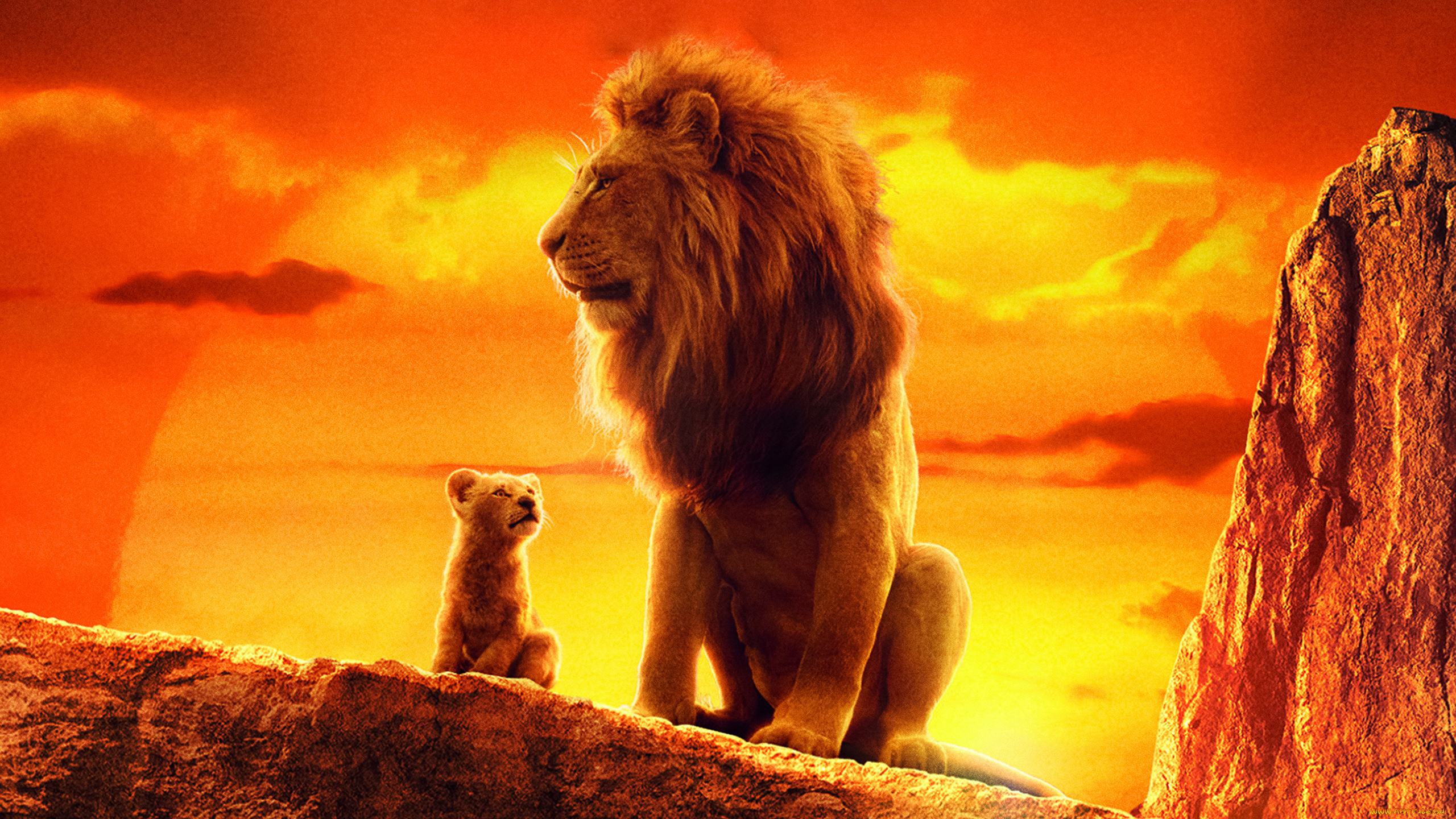 кино, фильмы, the, lion, king, , 2019, the, lion, king, король, лев