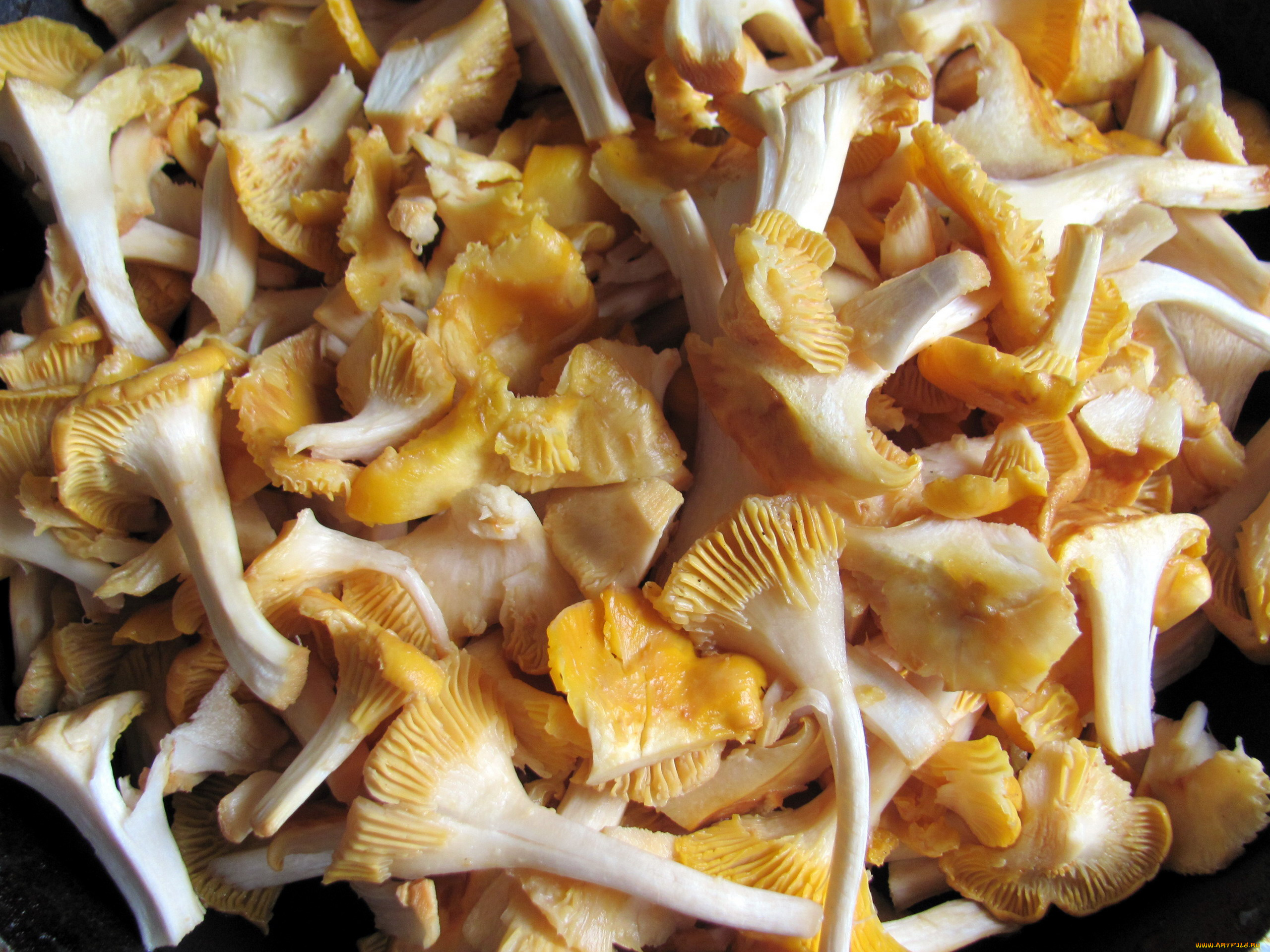 Лисички грибы еда
