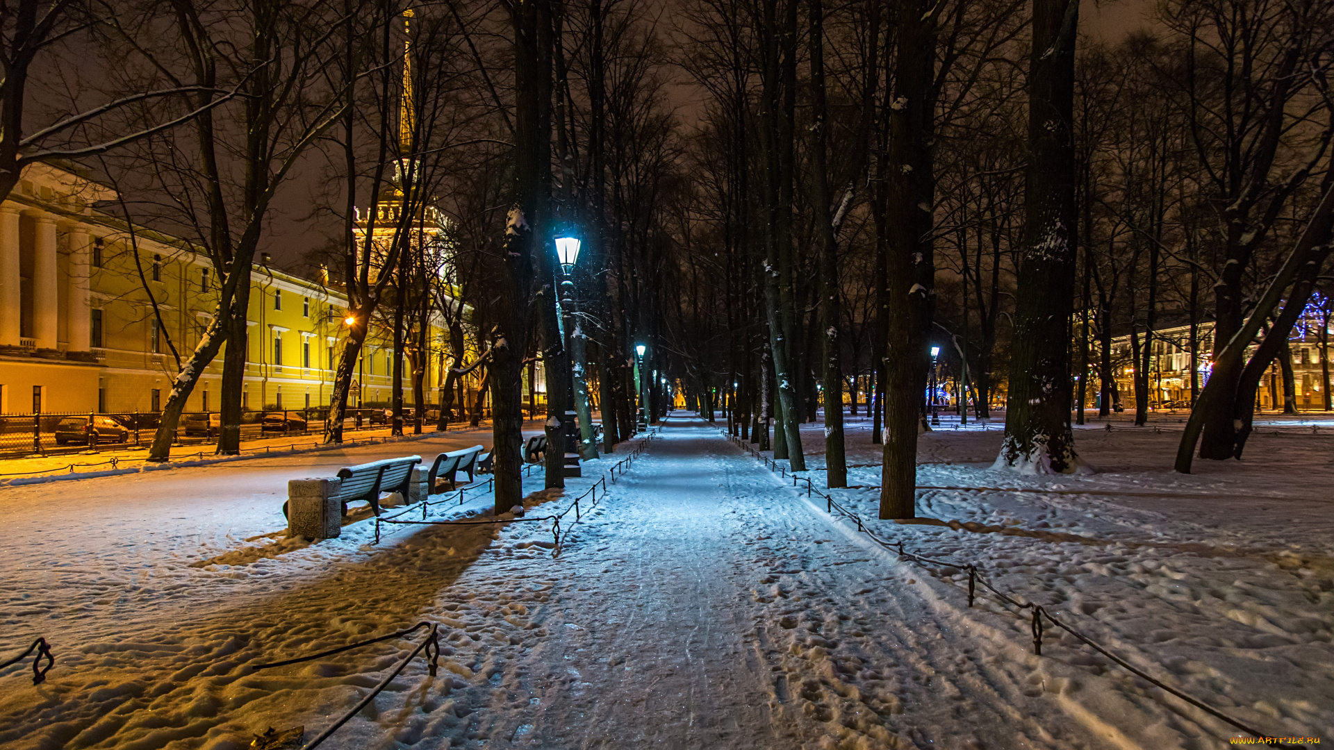 города, санкт-петербург, , петергоф, , россия, александровский, сад, санкт, петербург, зима, парк, дома, снег, ночь, деревья