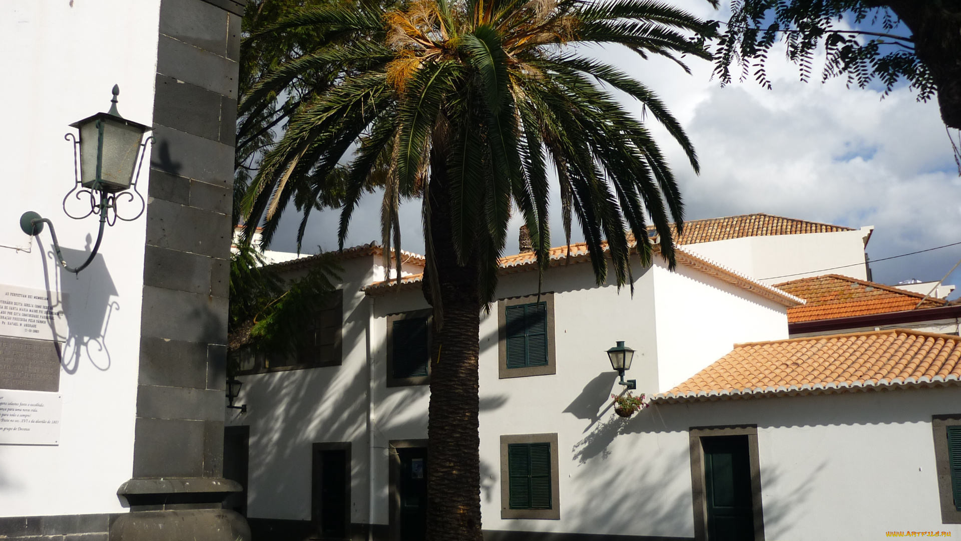 города, здания, дома, funchal, madeira, portugal, пальма