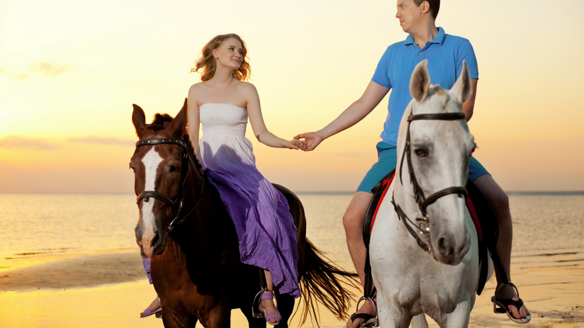 разное, мужчина, женщина, езда, лошади, любовь, девушка, закат, парень, лето, море