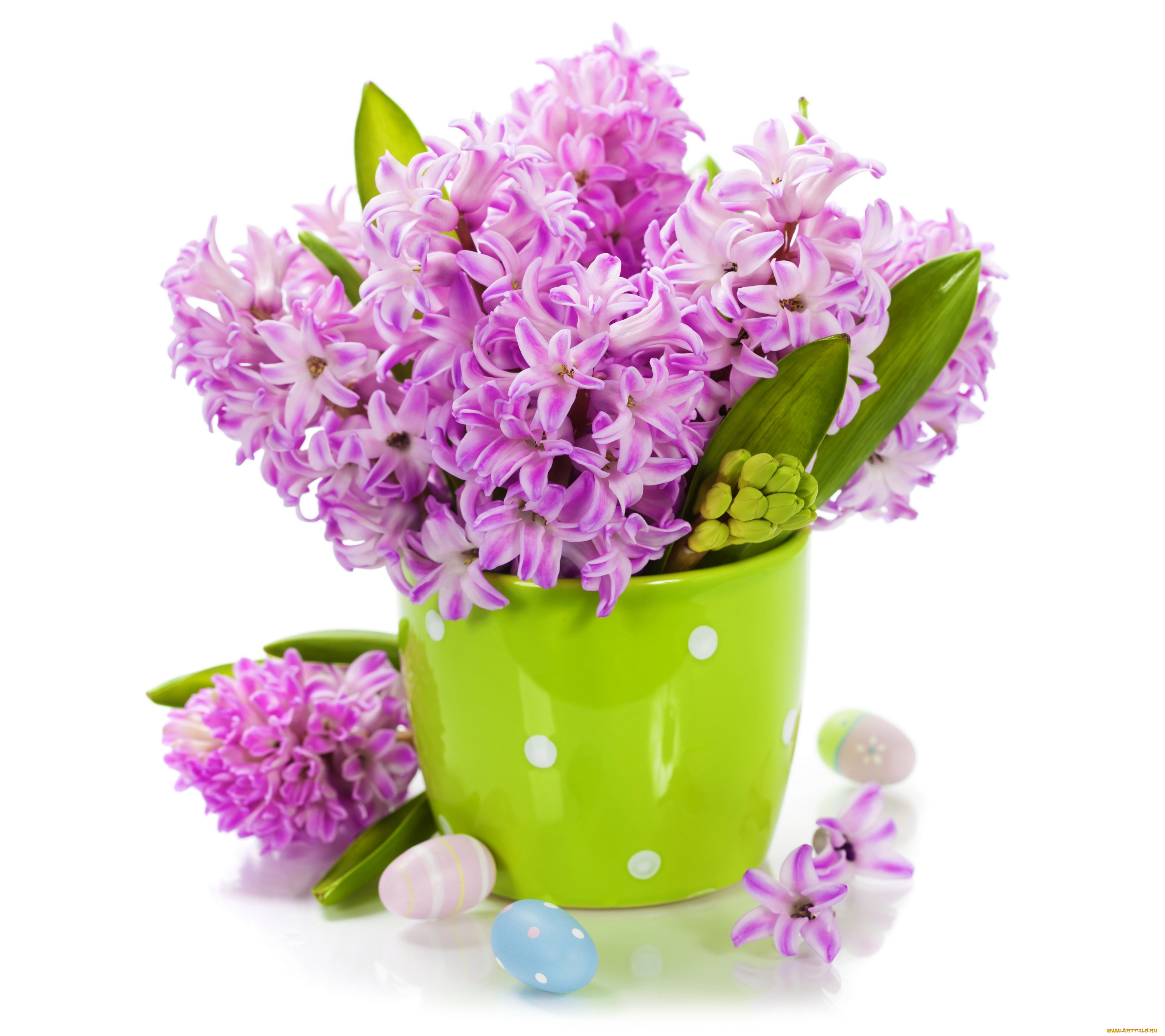 цветы, гиацинты, ваза, фиолетовые, яйца, фон