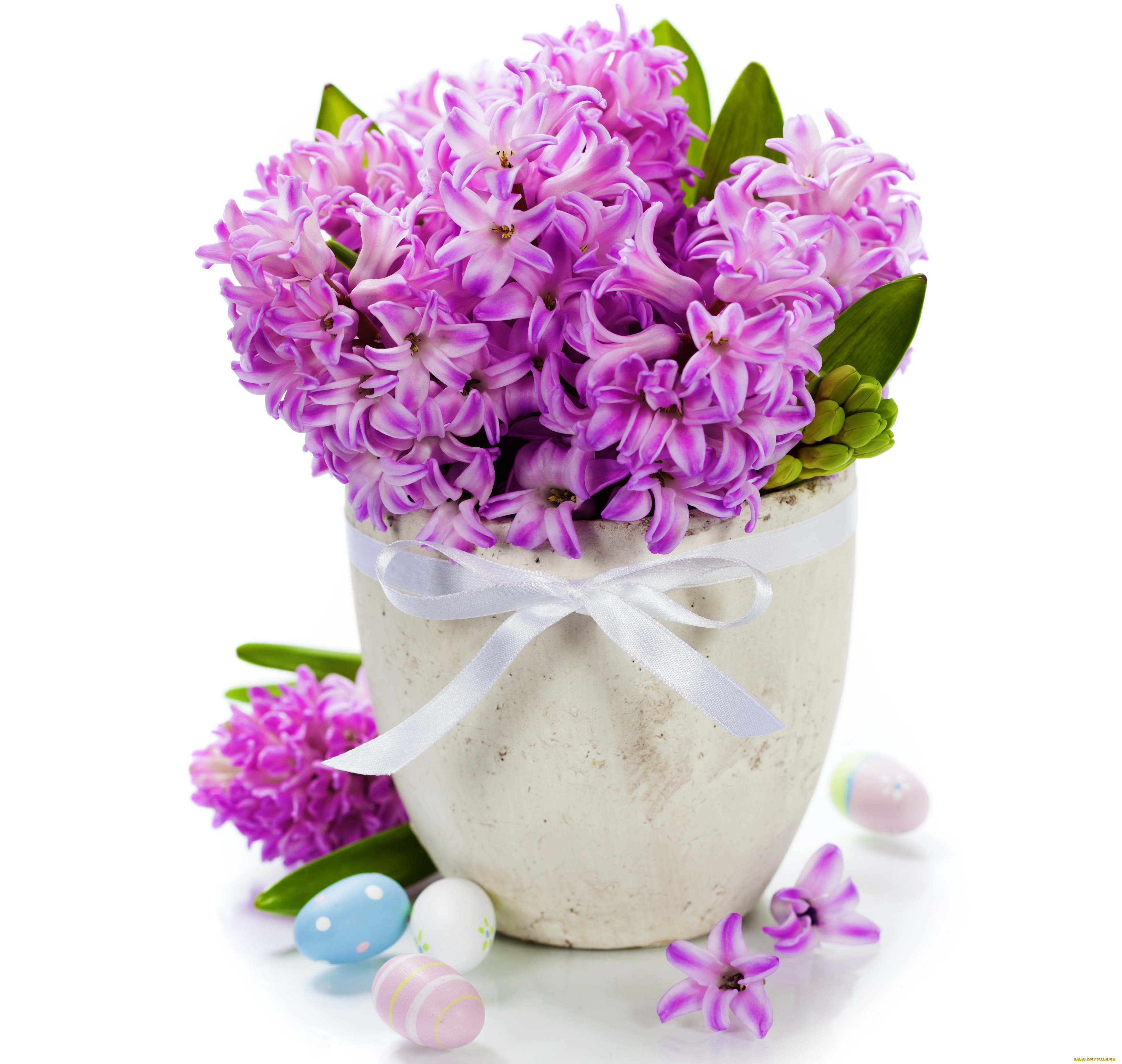 цветы, гиацинты, ваза, фиолетовые, яйца, фон