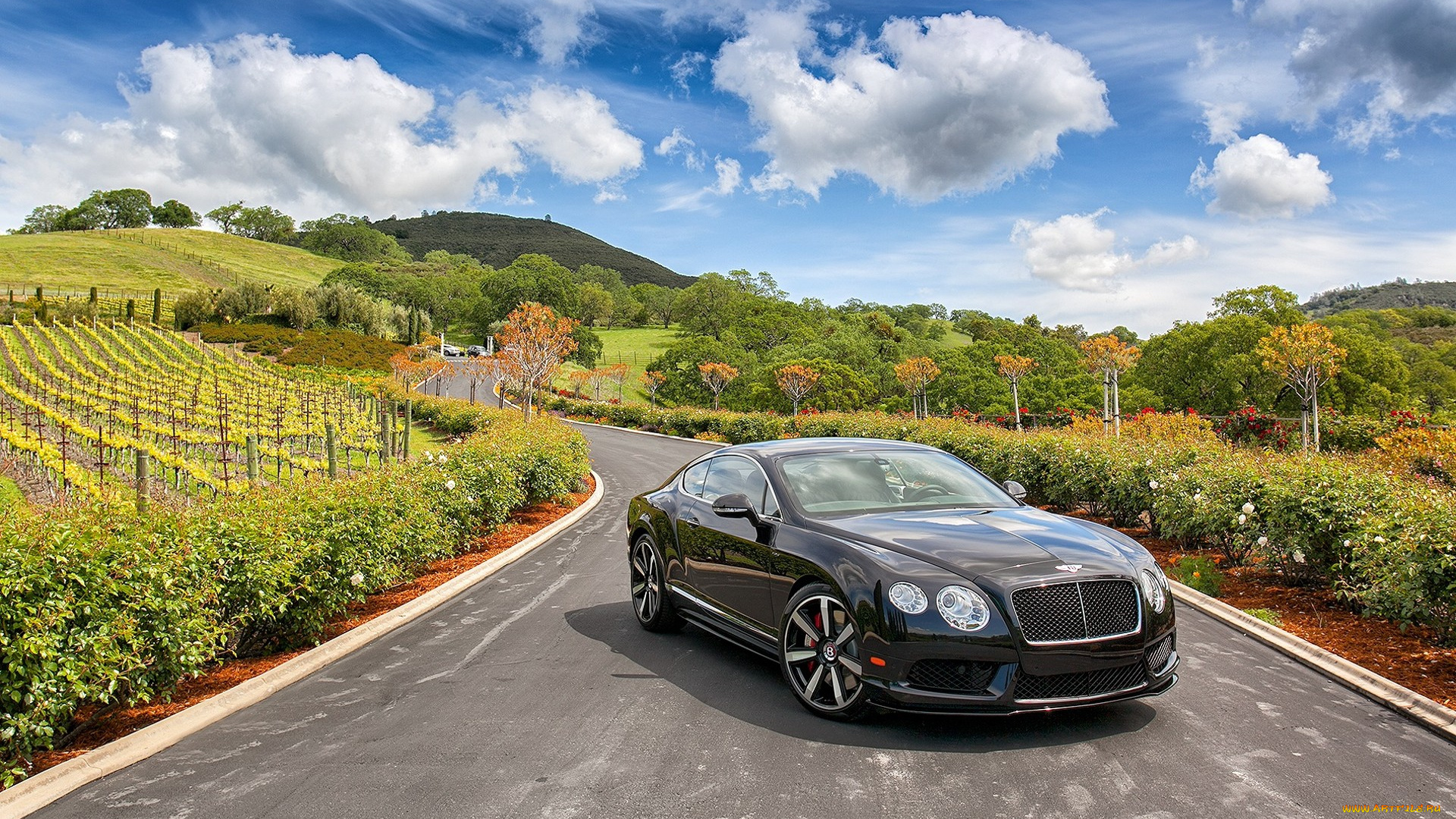 bentley, continental, gt, v8s, автомобили, bentley, класс, люкс