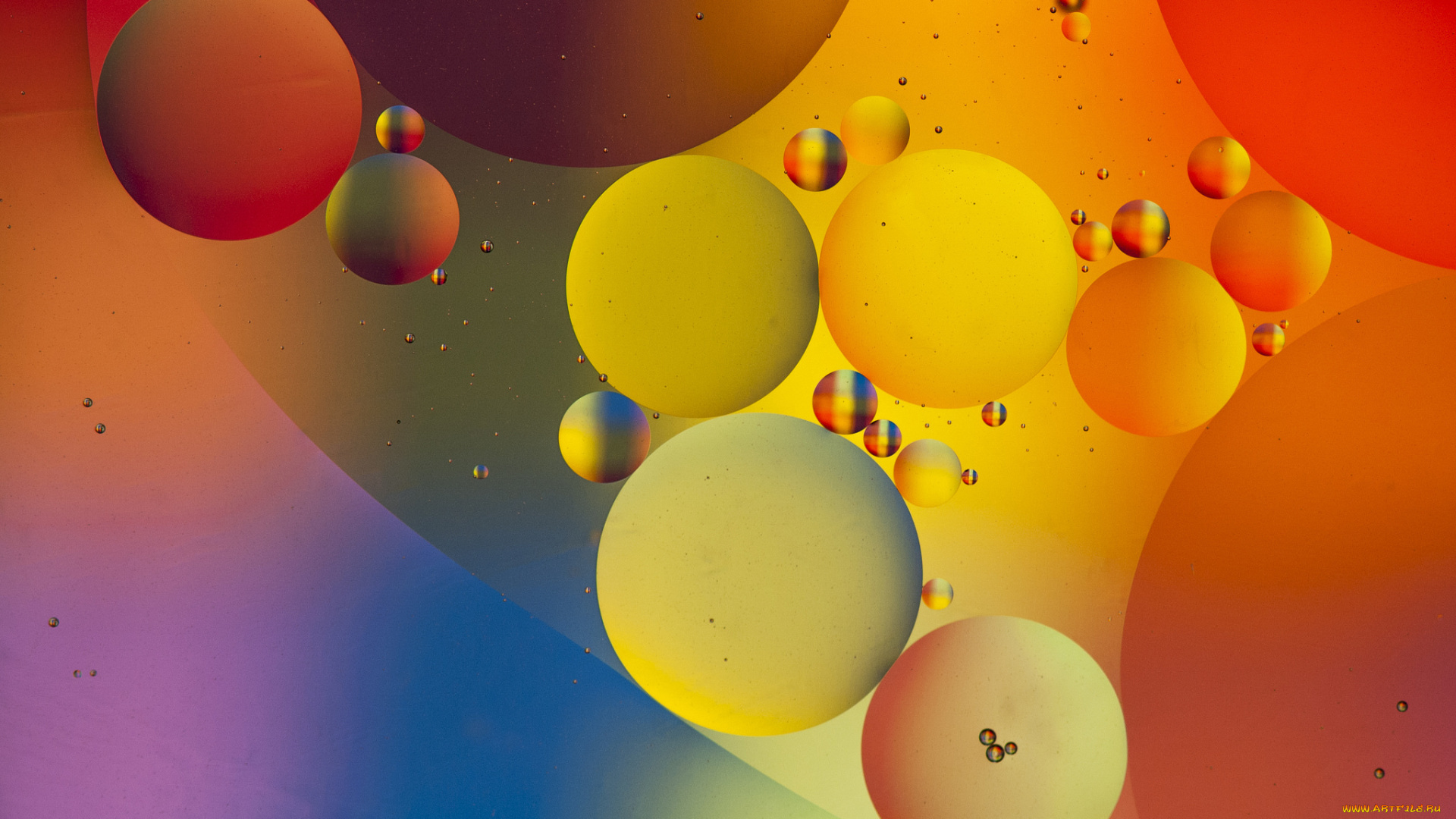 3д, графика, абстракция, , abstract, цвета, пузыри, круги