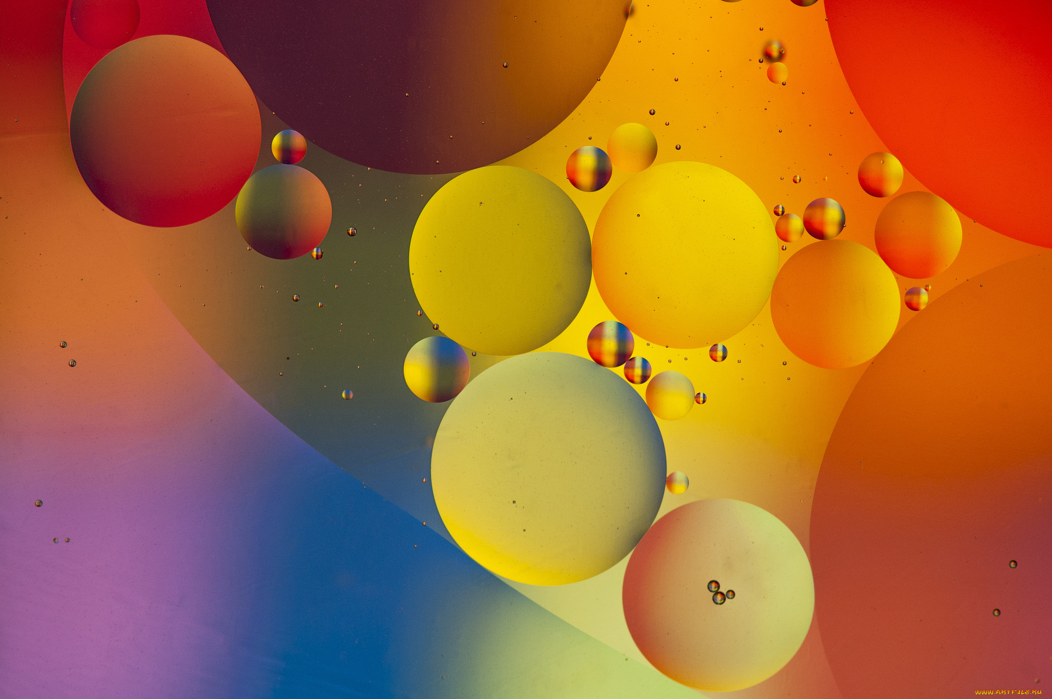 3д, графика, абстракция, , abstract, цвета, пузыри, круги