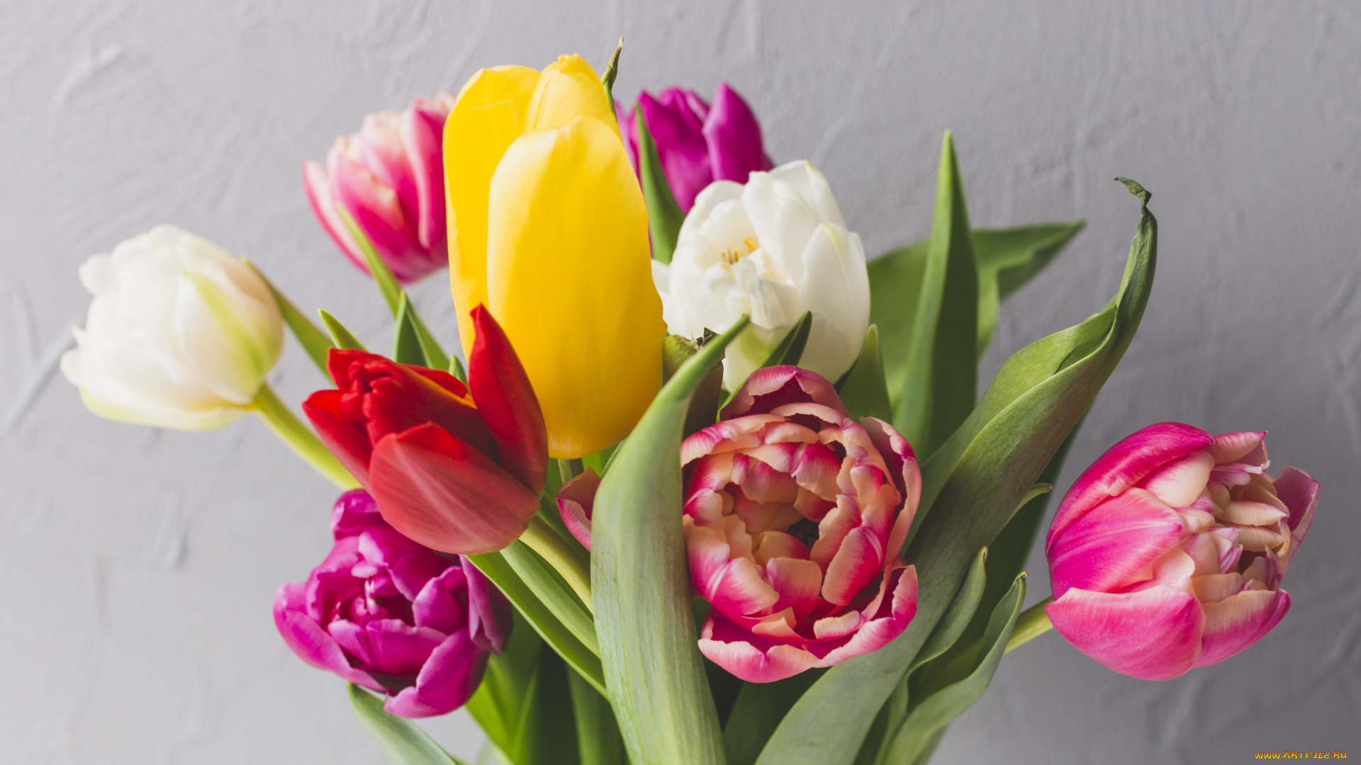 цветы, тюльпаны, яркие, bright, tulips, colorful, fresh, весна, flowers, букет, spring