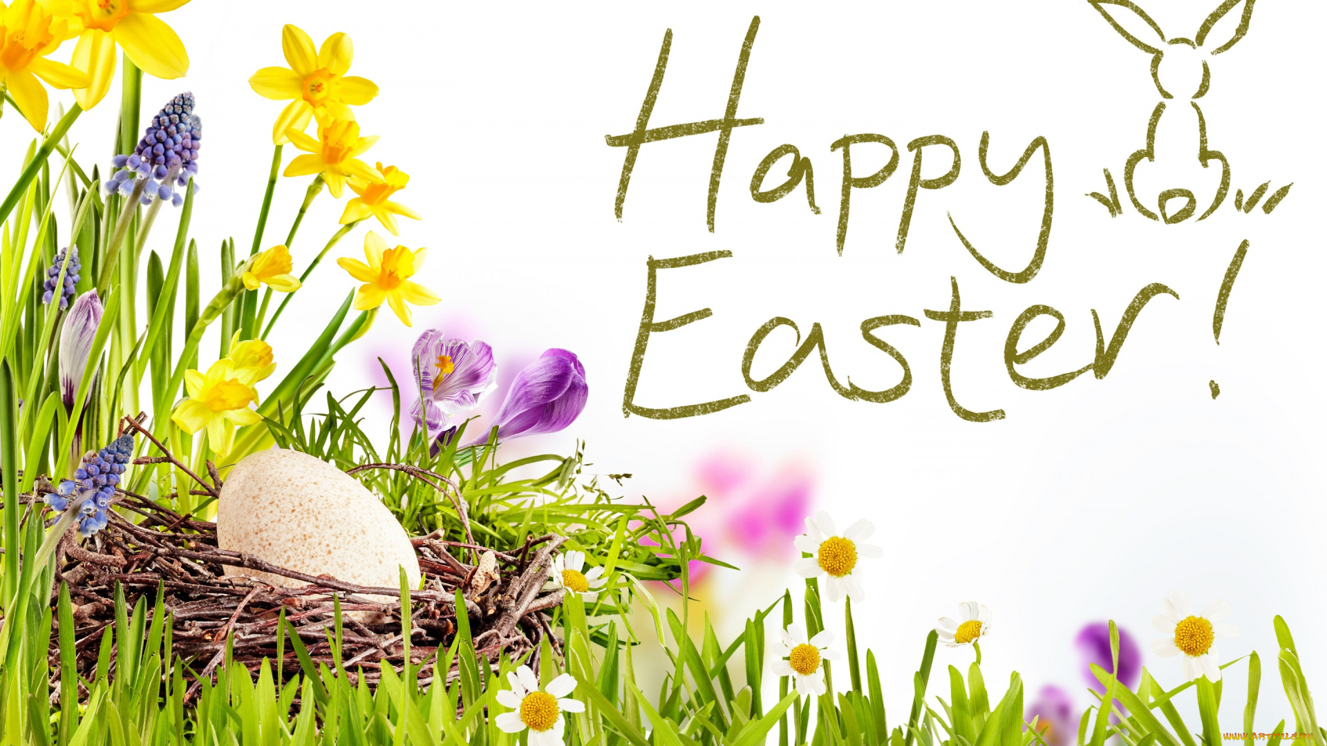 праздничные, пасха, весна, корзина, цветы, happy, солнце, easter, нарциссы, трава, decoration, eggs, flowers, spring, небо