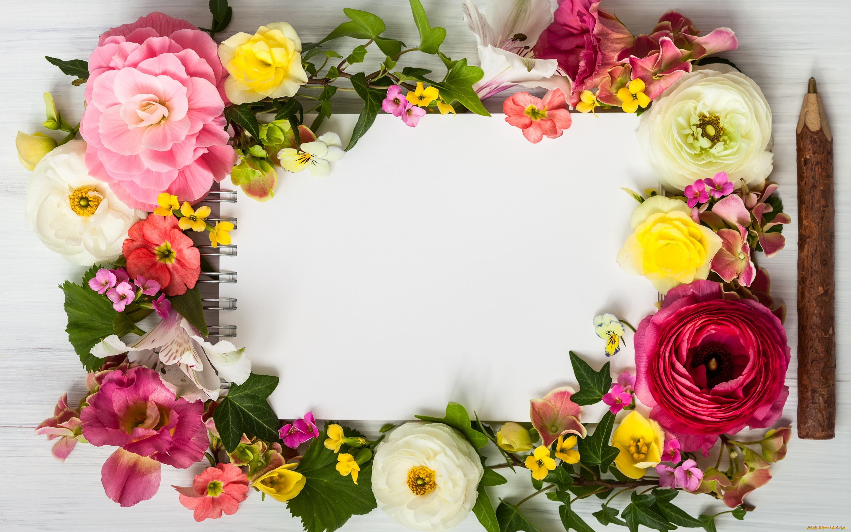 цветы, букеты, , композиции, pink, wood, композиция, floral, frame, flowers