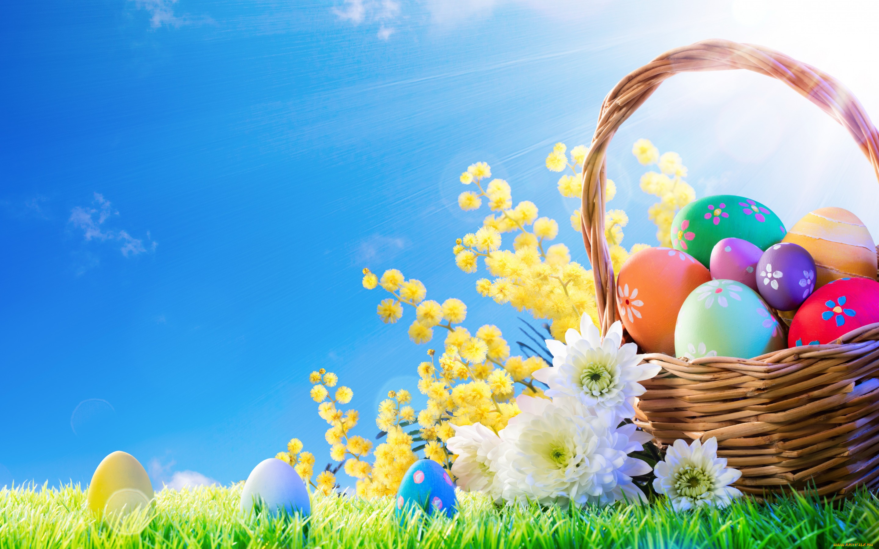 праздничные, пасха, весна, корзина, decoration, easter, трава, солнце, flowers, яйца, крашеные, eggs, spring, happy, цветы