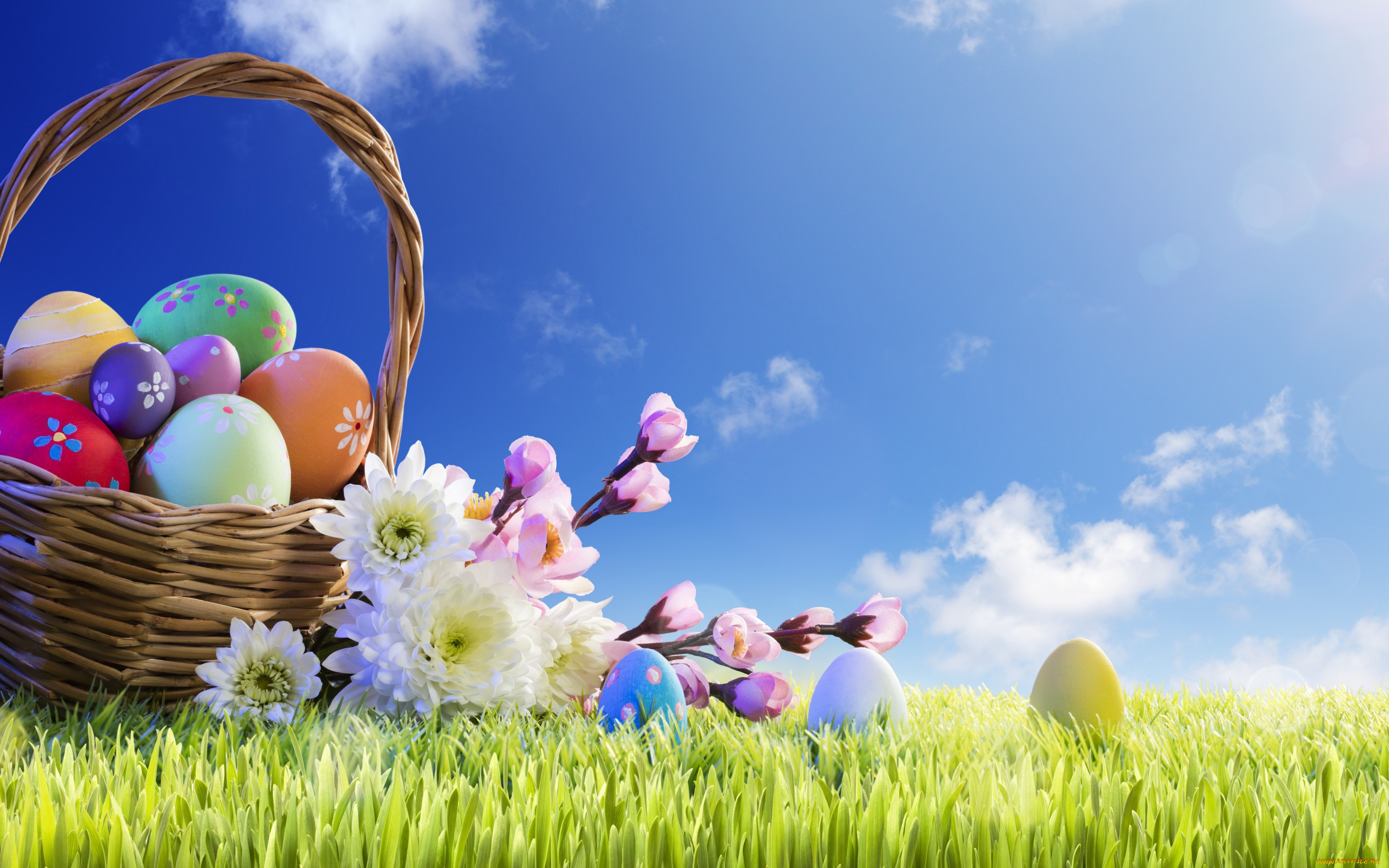 праздничные, пасха, весна, корзина, солнце, easter, трава, happy, цветы, яйца, крашеные, spring, flowers, eggs, decoration