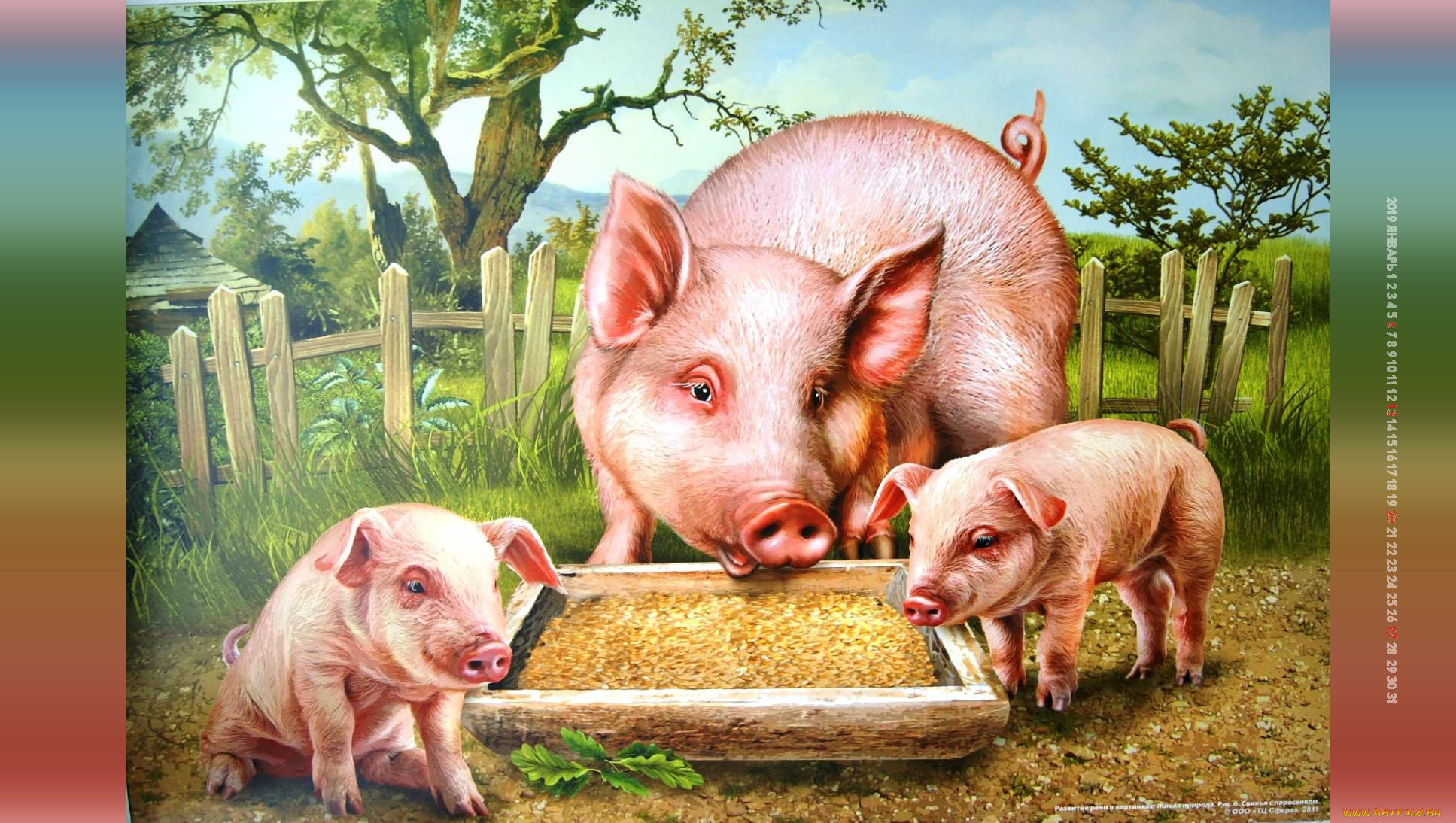 Картина свинья с поросятами