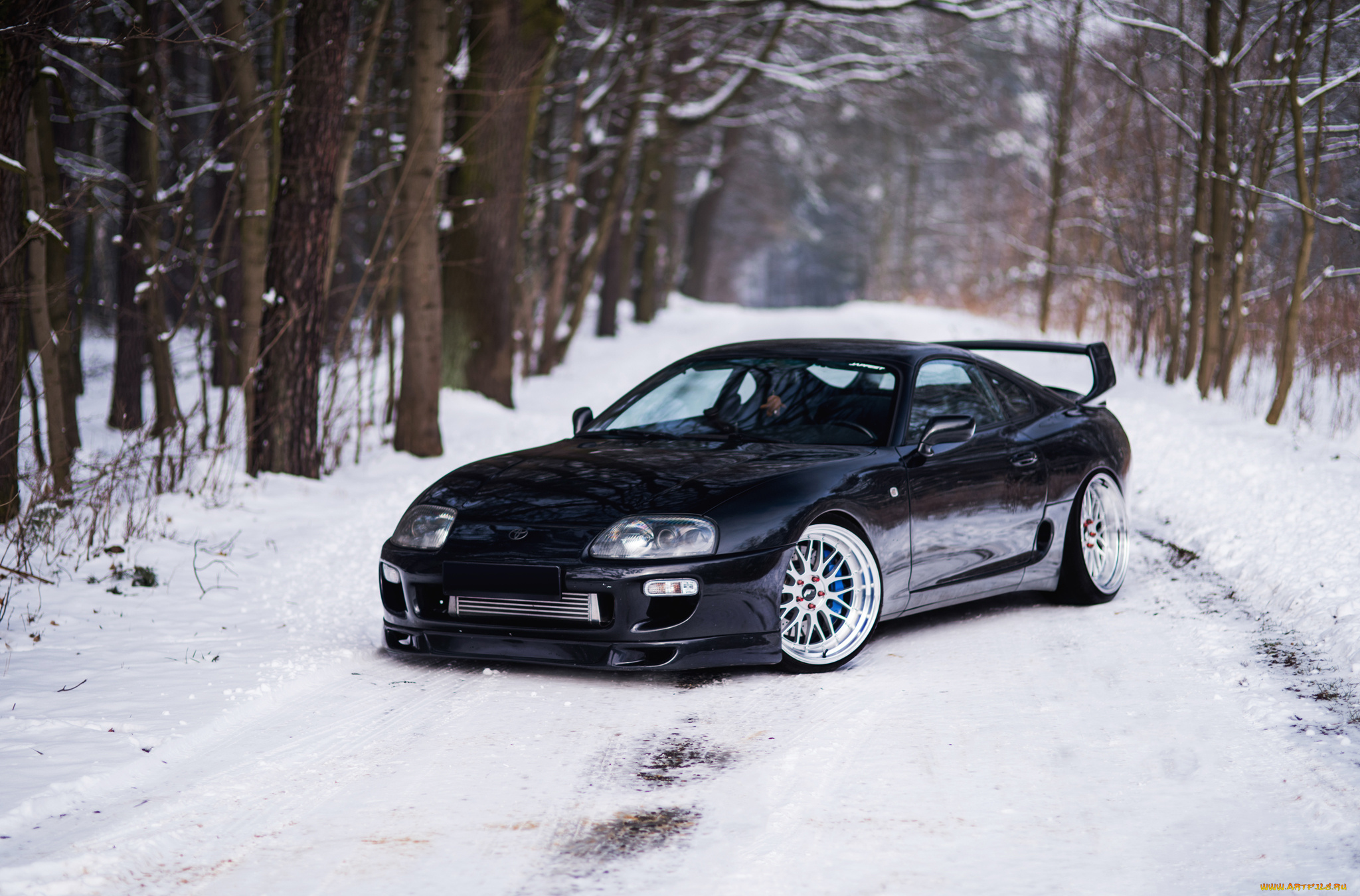 toyota, supra, автомобили, toyota, supra, a80, black, snow, road, forest