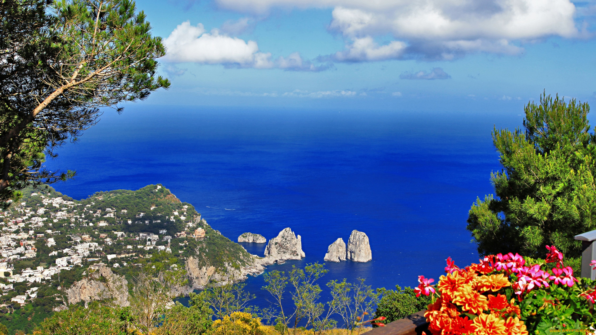 anacapri, capri, italy, природа, побережье, анакапри, капри, италия, море, цветы, деревья, скалы, панорама