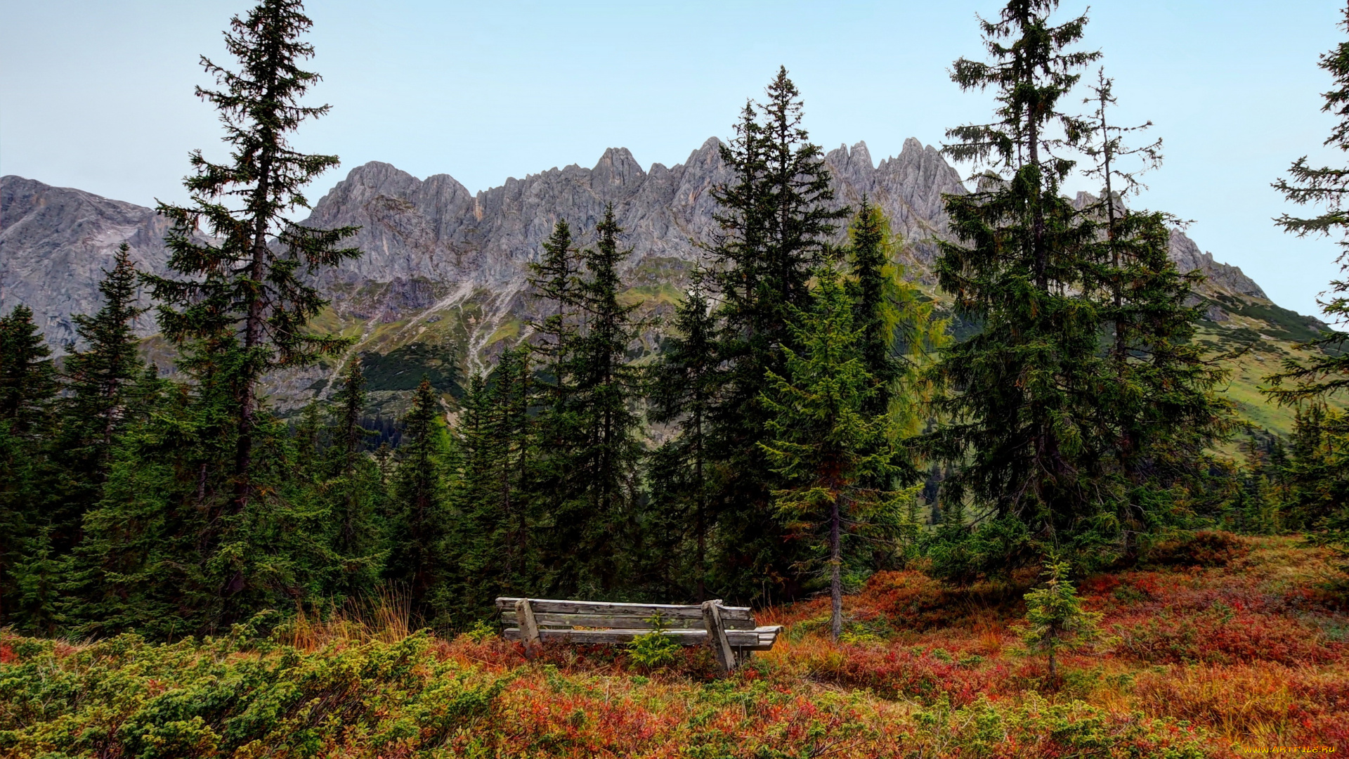 austrian, alps, природа, пейзажи, горы, лес