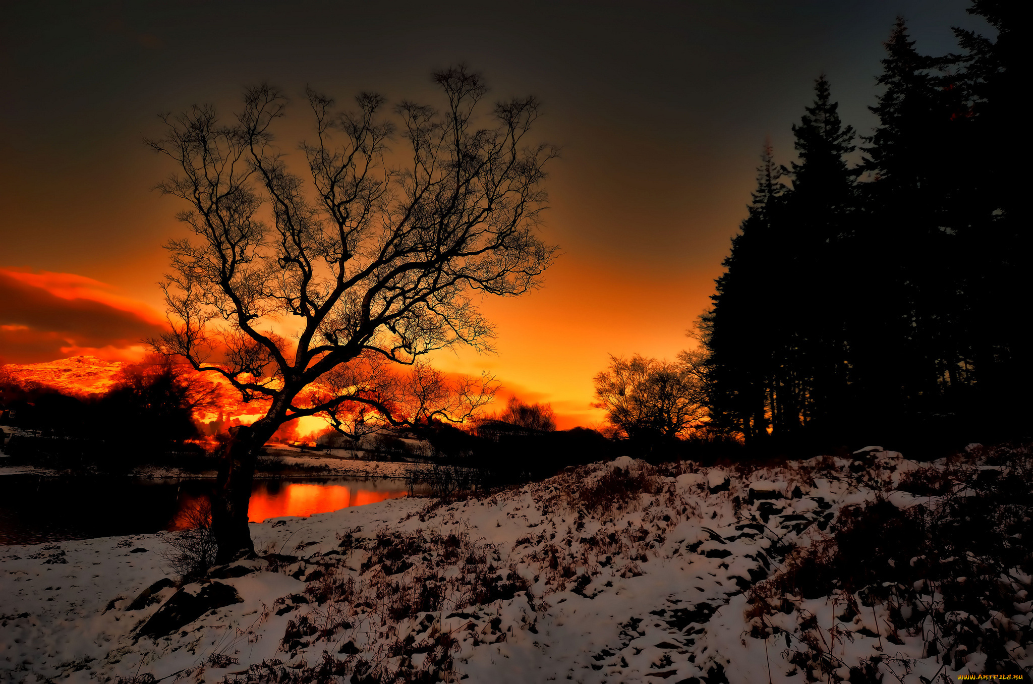 природа река зима вечер деревья бесплатно