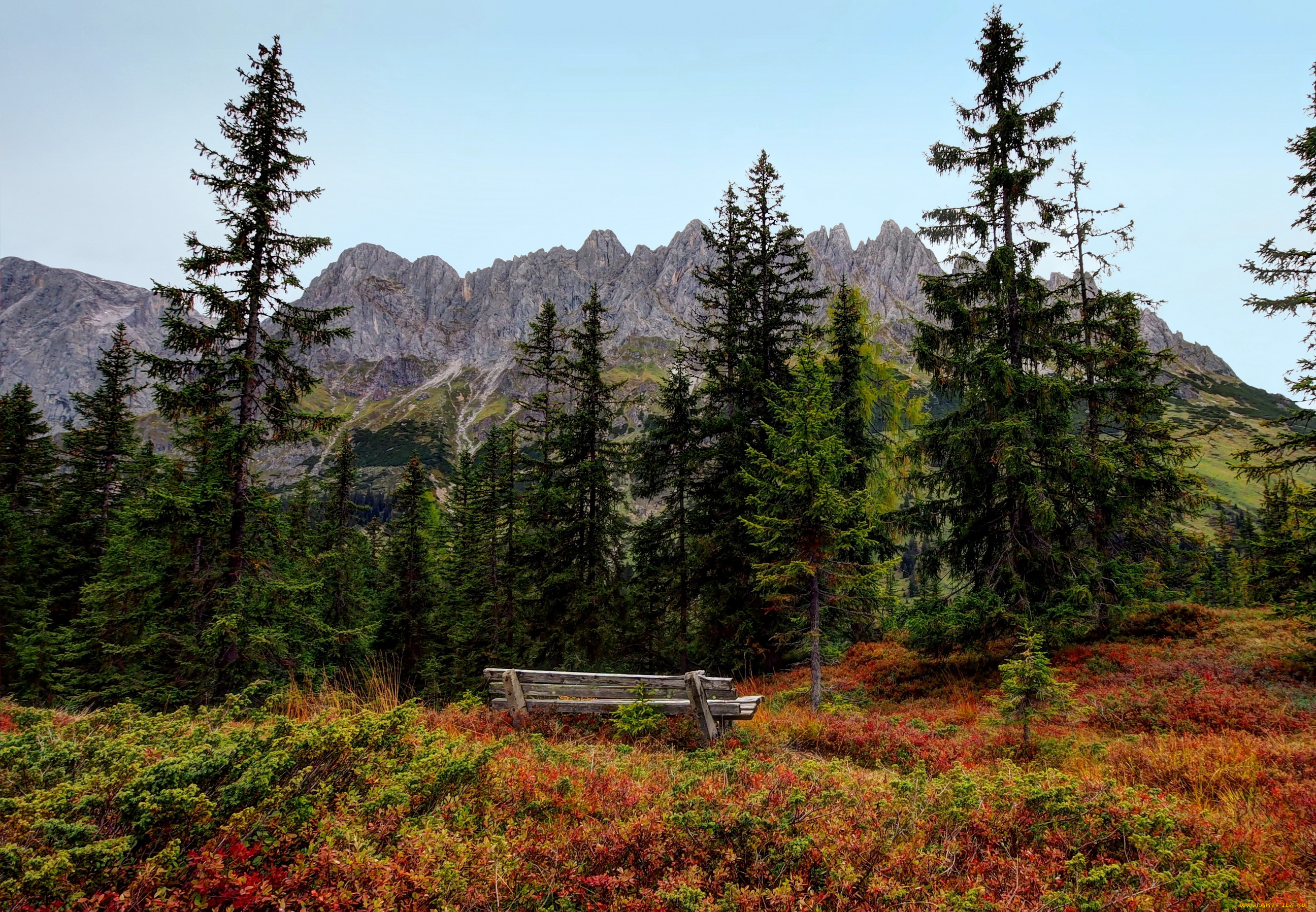 austrian, alps, природа, пейзажи, горы, лес