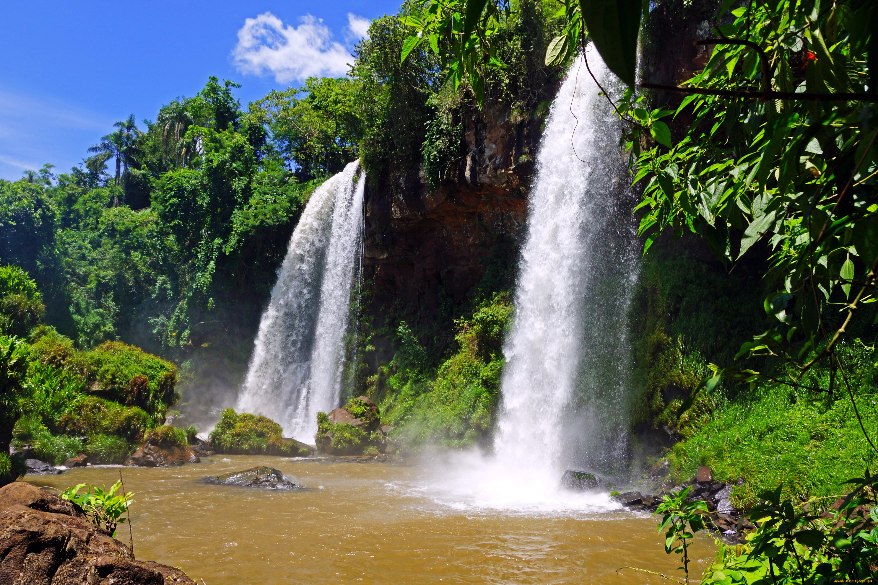 природа водопад деревья вода Бразилия бесплатно