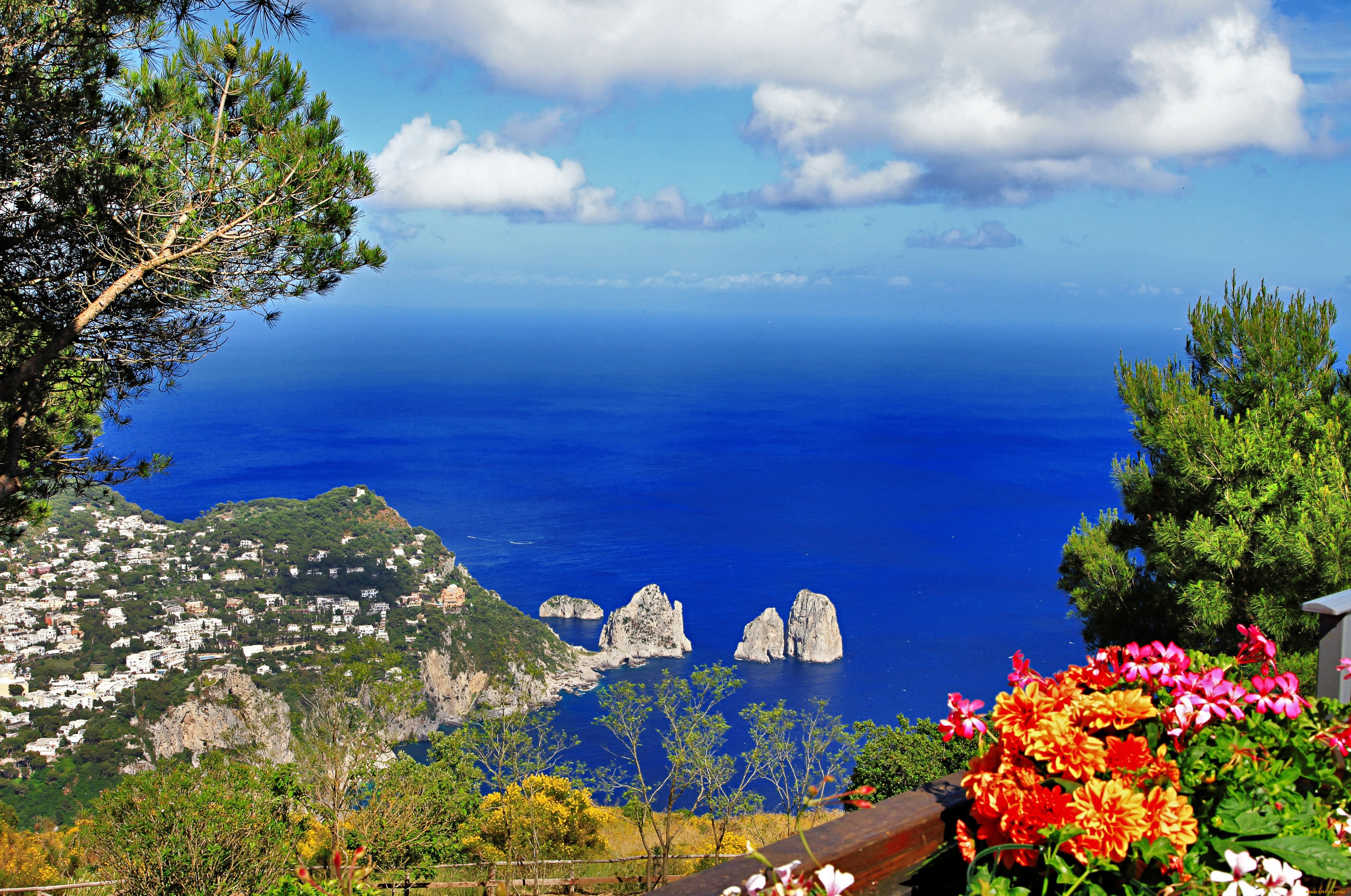 anacapri, capri, italy, природа, побережье, анакапри, капри, италия, море, цветы, деревья, скалы, панорама