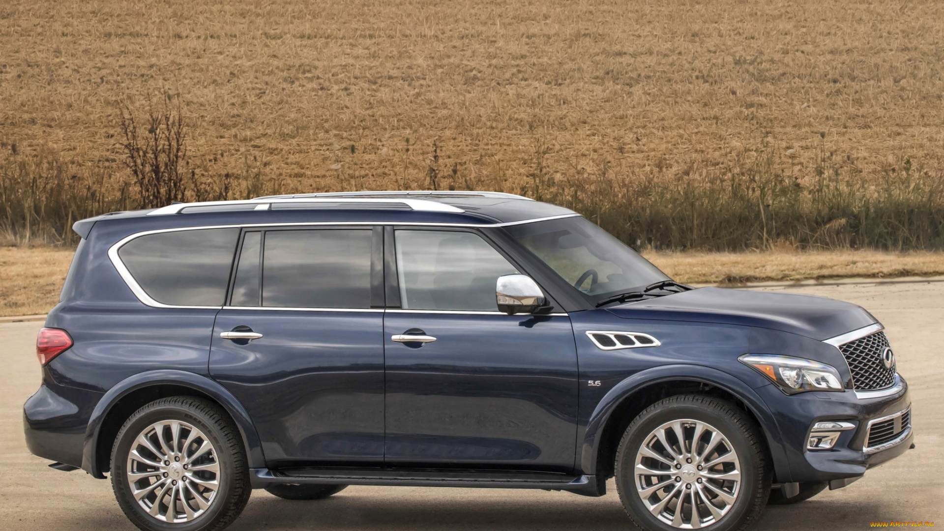 Infinity qx80