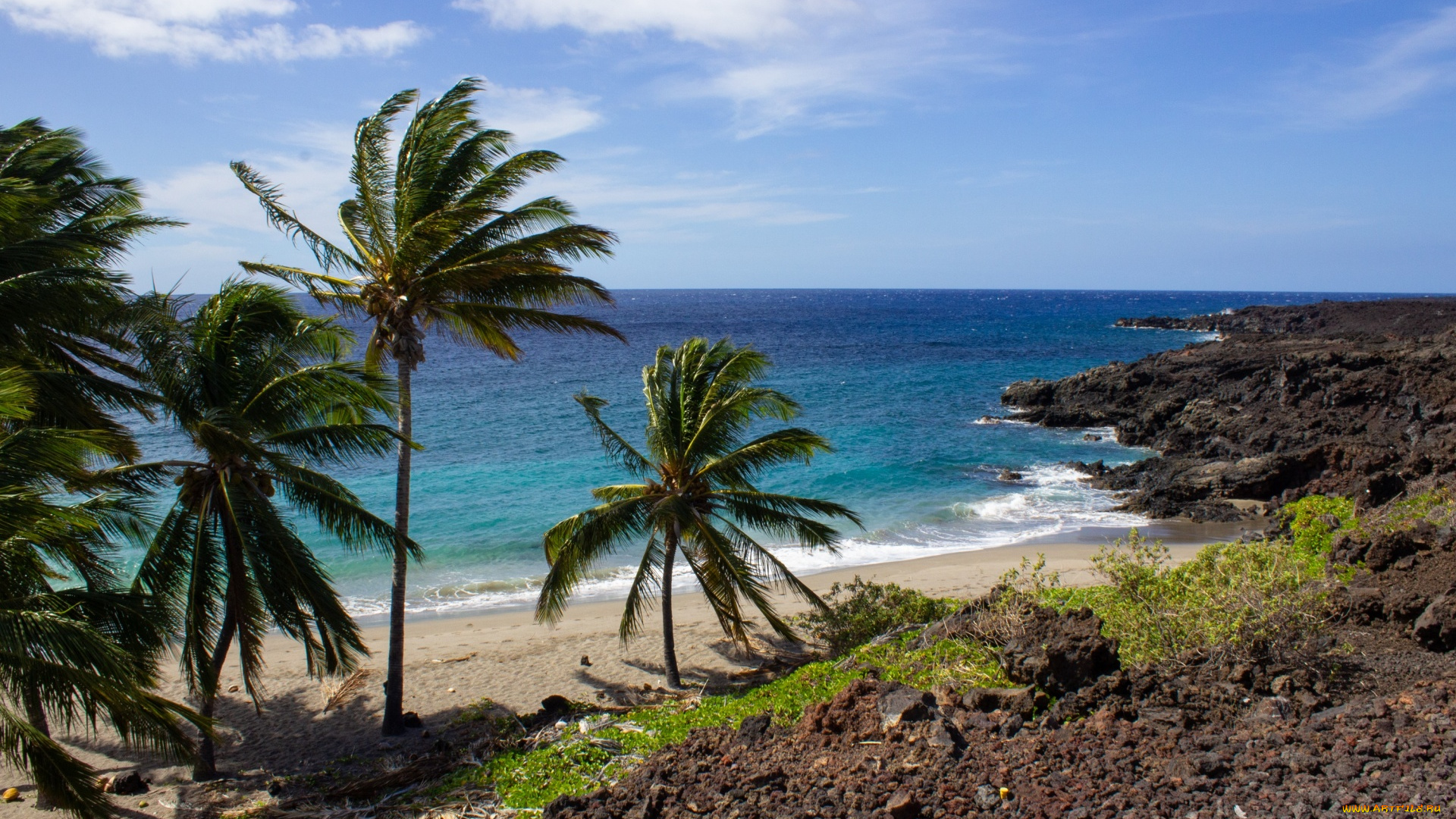 tropical, hawaii, природа, тропики, tropical, hawaii