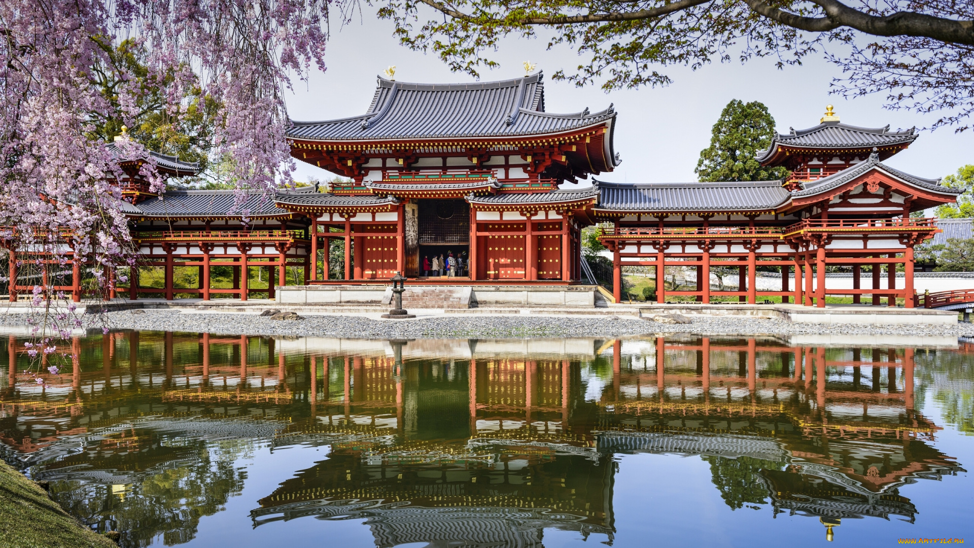 byodo-in, temple, -, uji, , japan, города, -, буддийские, и, другие, храмы, весна, Япония, отражение, пруд, japan, uji, водоём, byodo-in, temple, удзи, храм, бёдо-ин, сакура