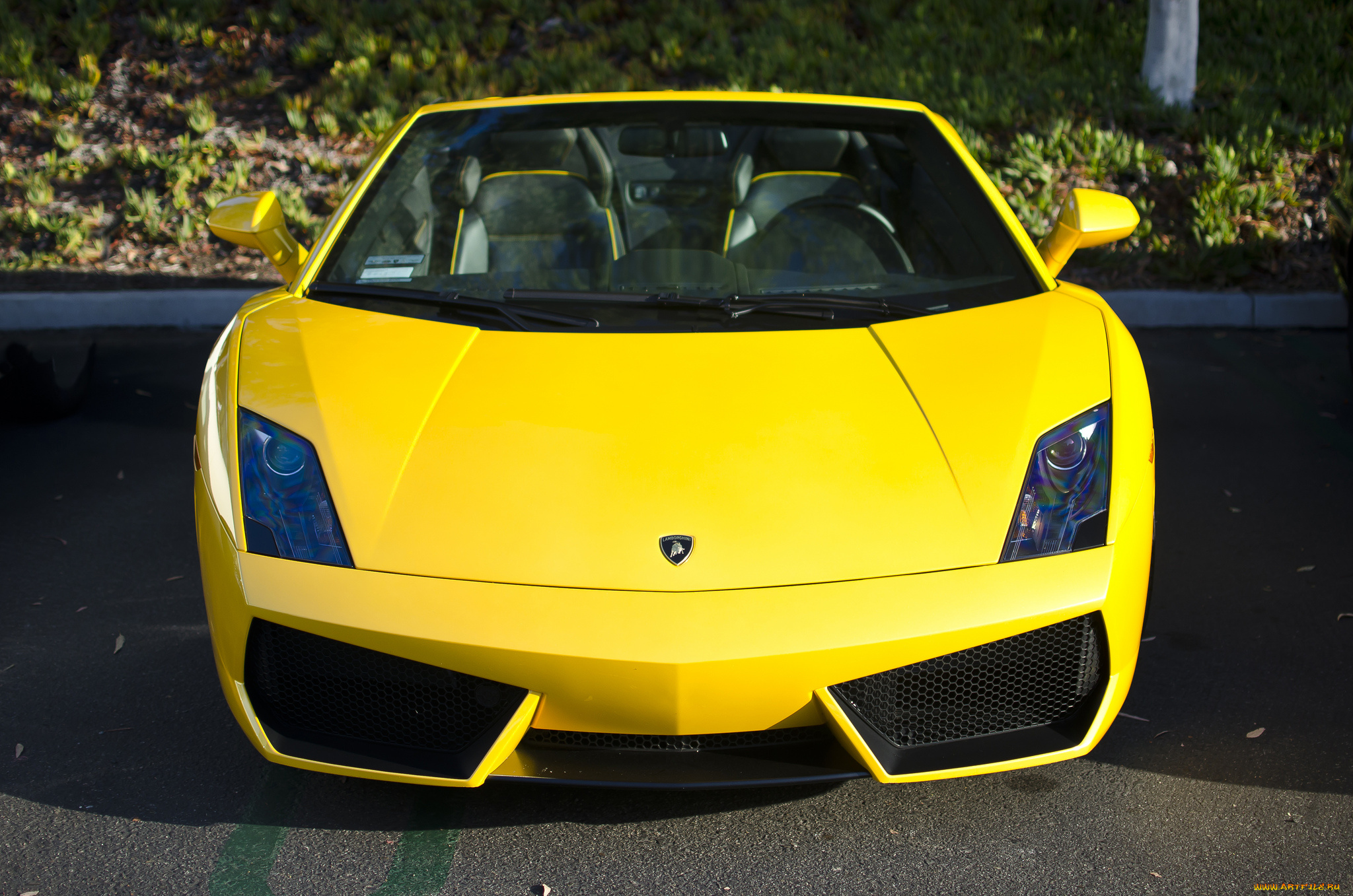 lamborghini, gallardo, lp560-4, spyder, автомобили, lamborghini, италия, суперкар