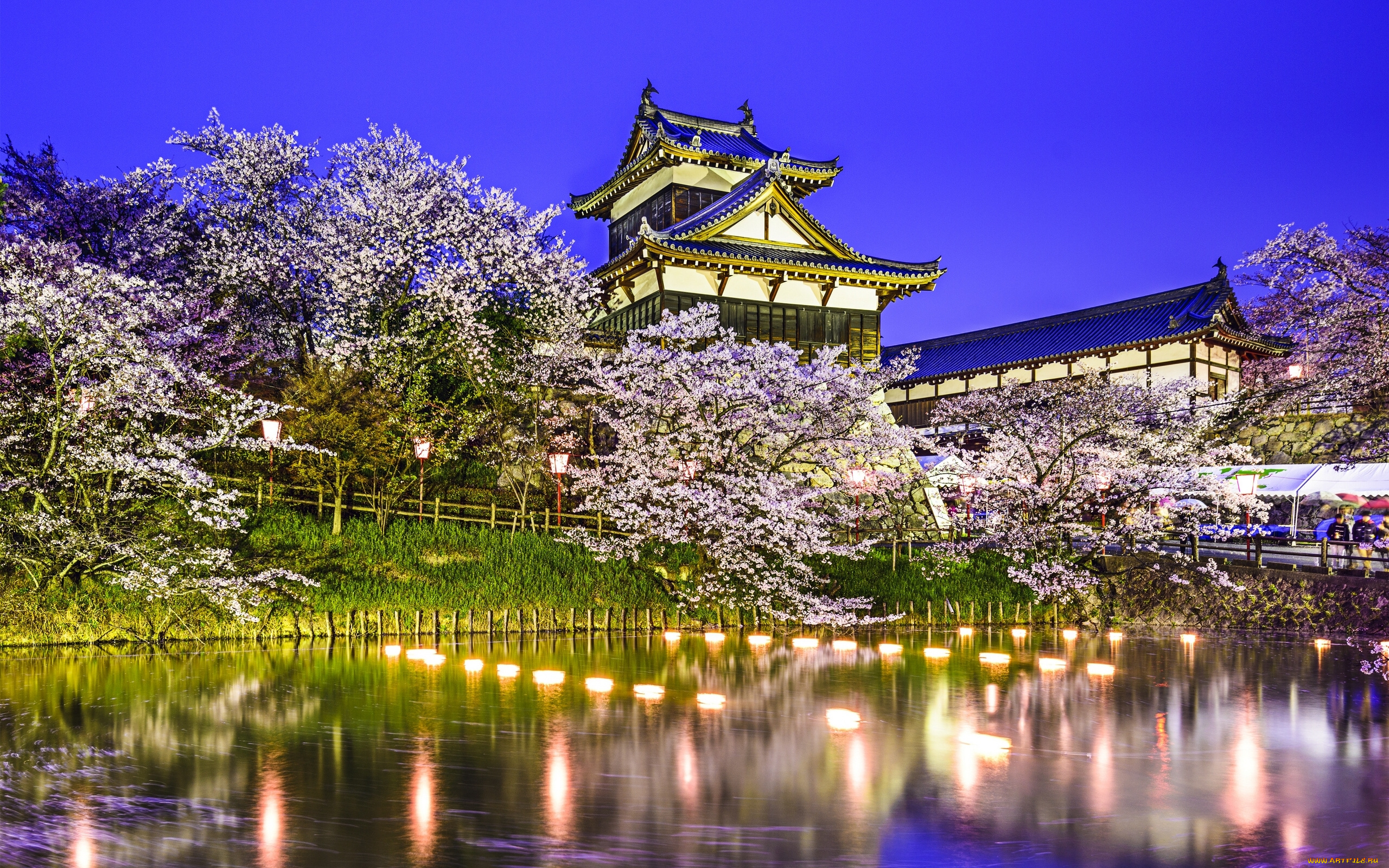 koriyama, castle, -, yamatokoriyama, , japan, города, замки, Японии, Яматокорияма, замок, корияма, japan, yamatokoriyama, парк, koriyama, castle, весна, водоём, пруд, Япония, огни, отражение, сакура, деревья