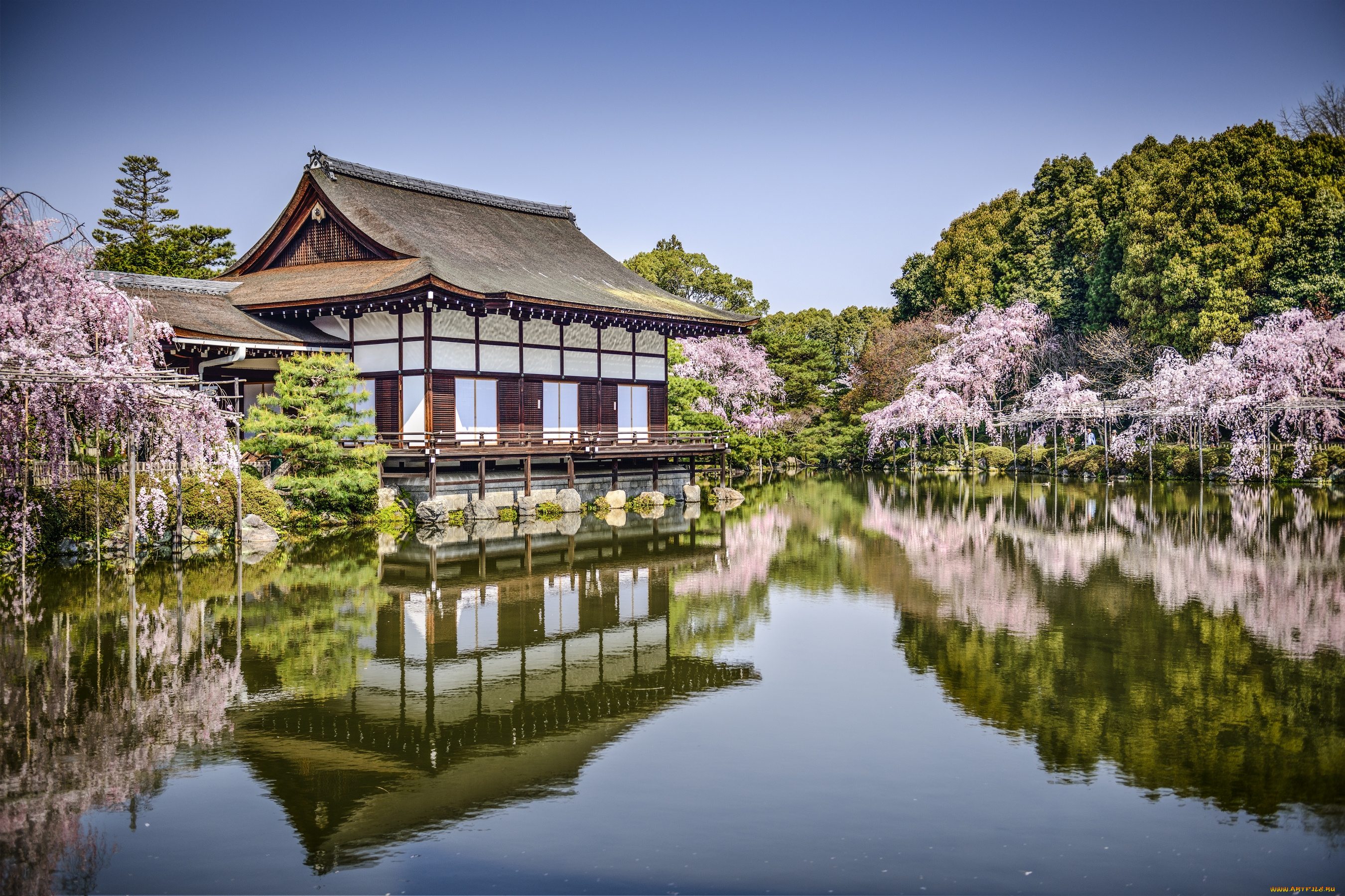 heian, jingu, -, kyoto, , japan, города, -, буддийские, и, другие, храмы, отражение, сакура, деревья, парк, весна, водоём, japan, kyoto, heian, jingu, пруд, озеро, Япония, киото, храм, хэйан