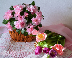 Картинка цветы разные+вместе азалия тюльпаны