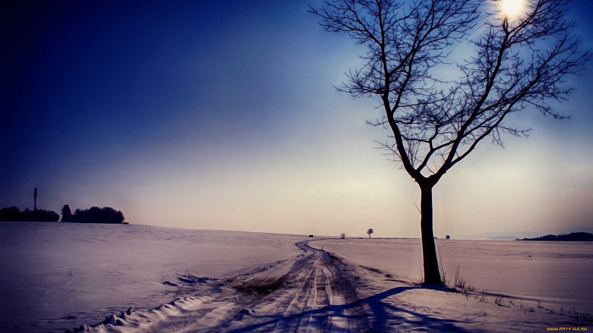 природа, дороги, зима, снег, дерево, пейзаж