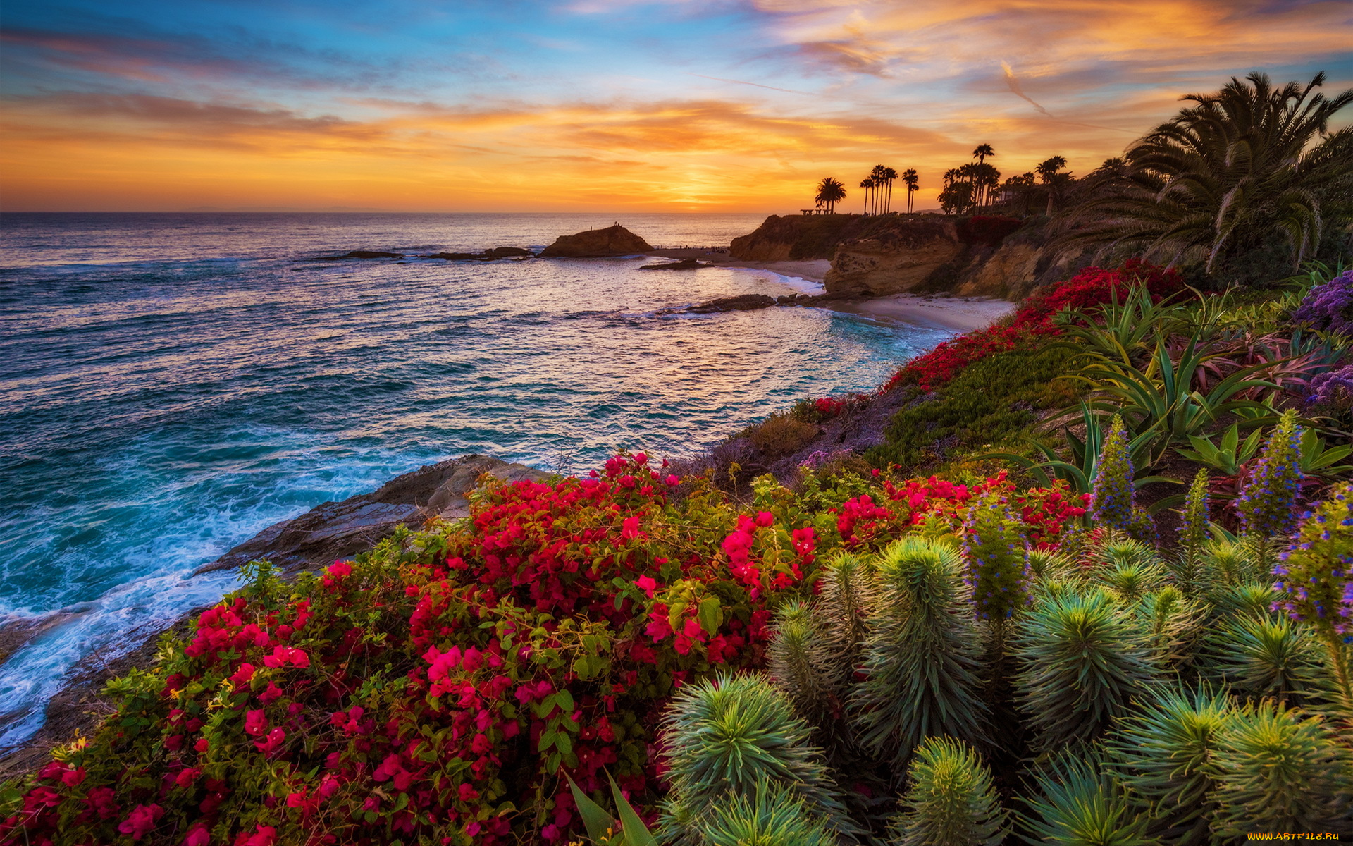 природа, восходы, закаты, laguna, beach, sunset, california, море, побережье, цветы, закат