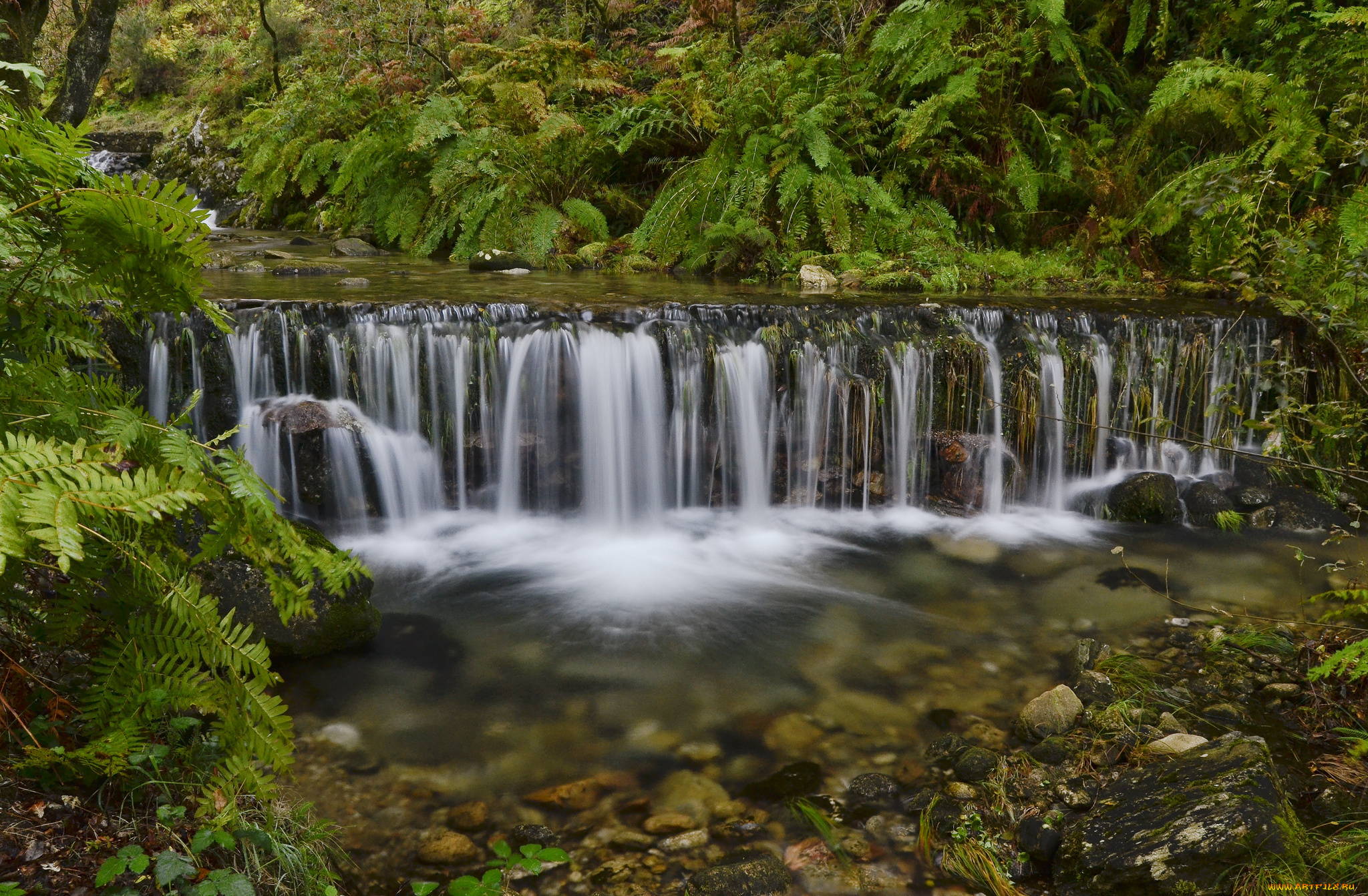 природа, водопады, водопад, река, лес