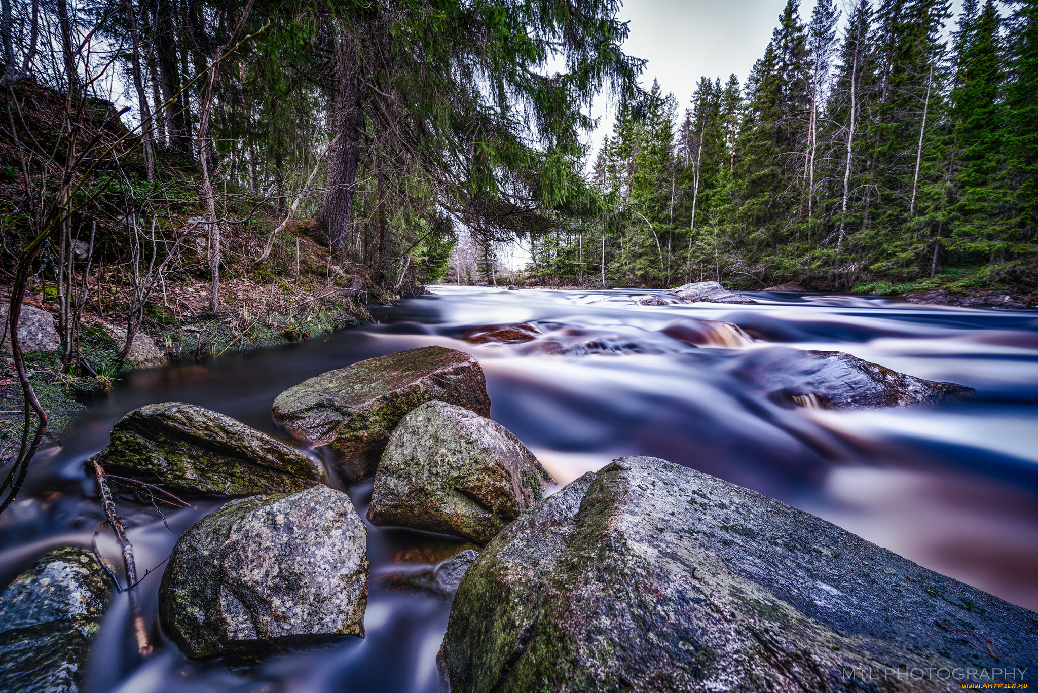 природа, реки, озера, поток, камни, лес, вода, река