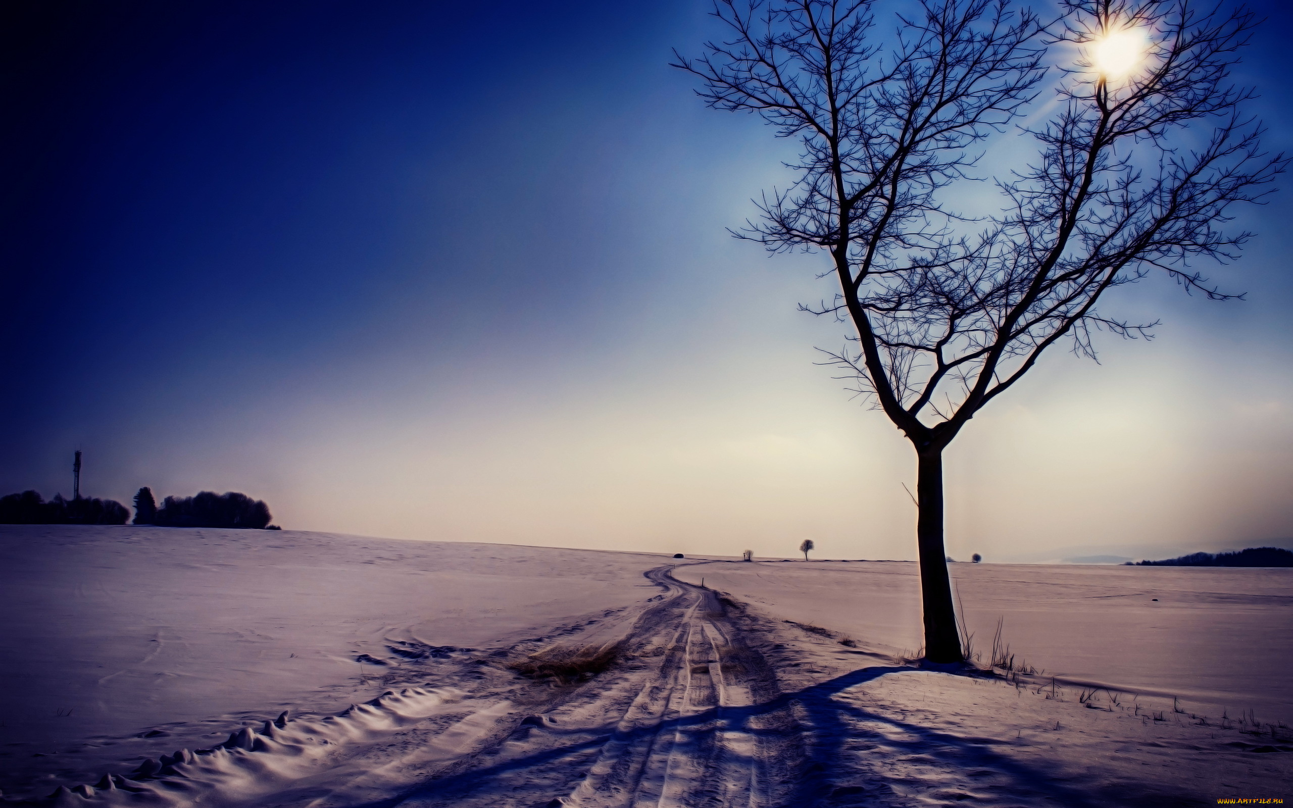 природа, дороги, зима, снег, дерево, пейзаж