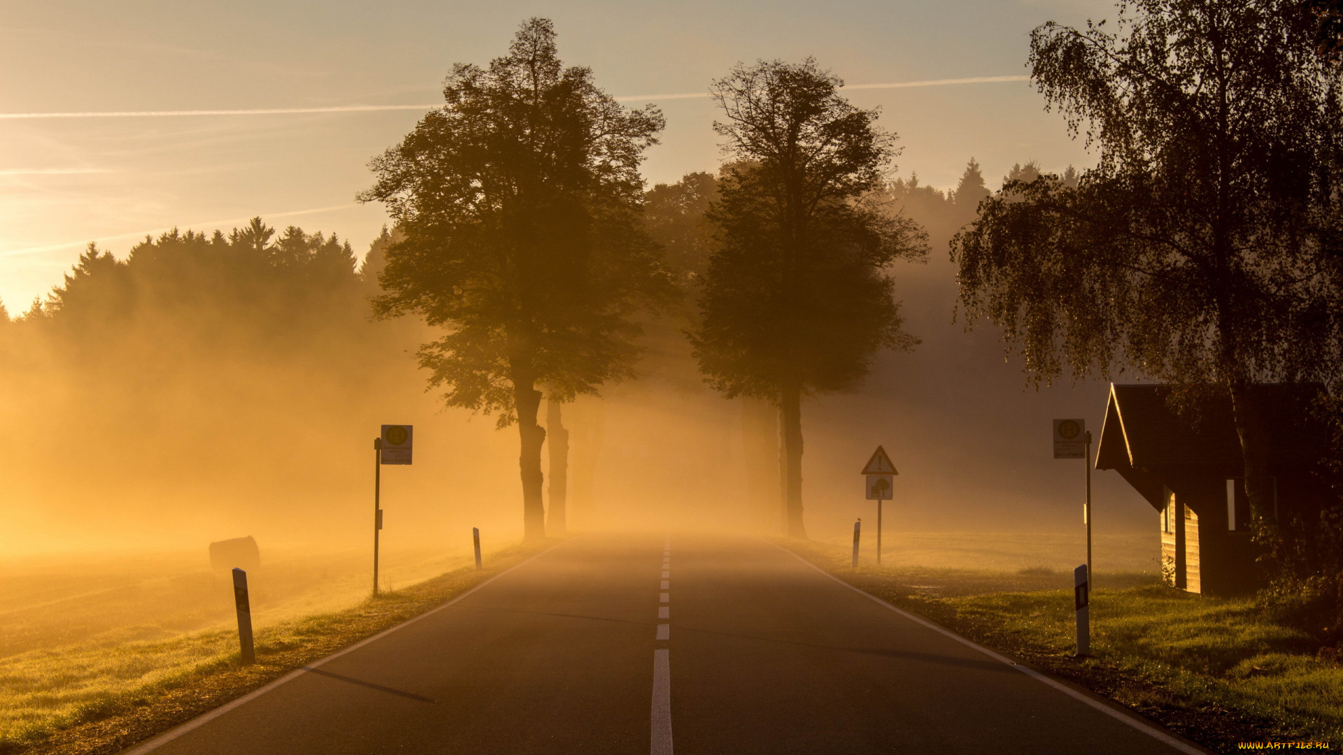 природа, дороги, туман, утро, дорога