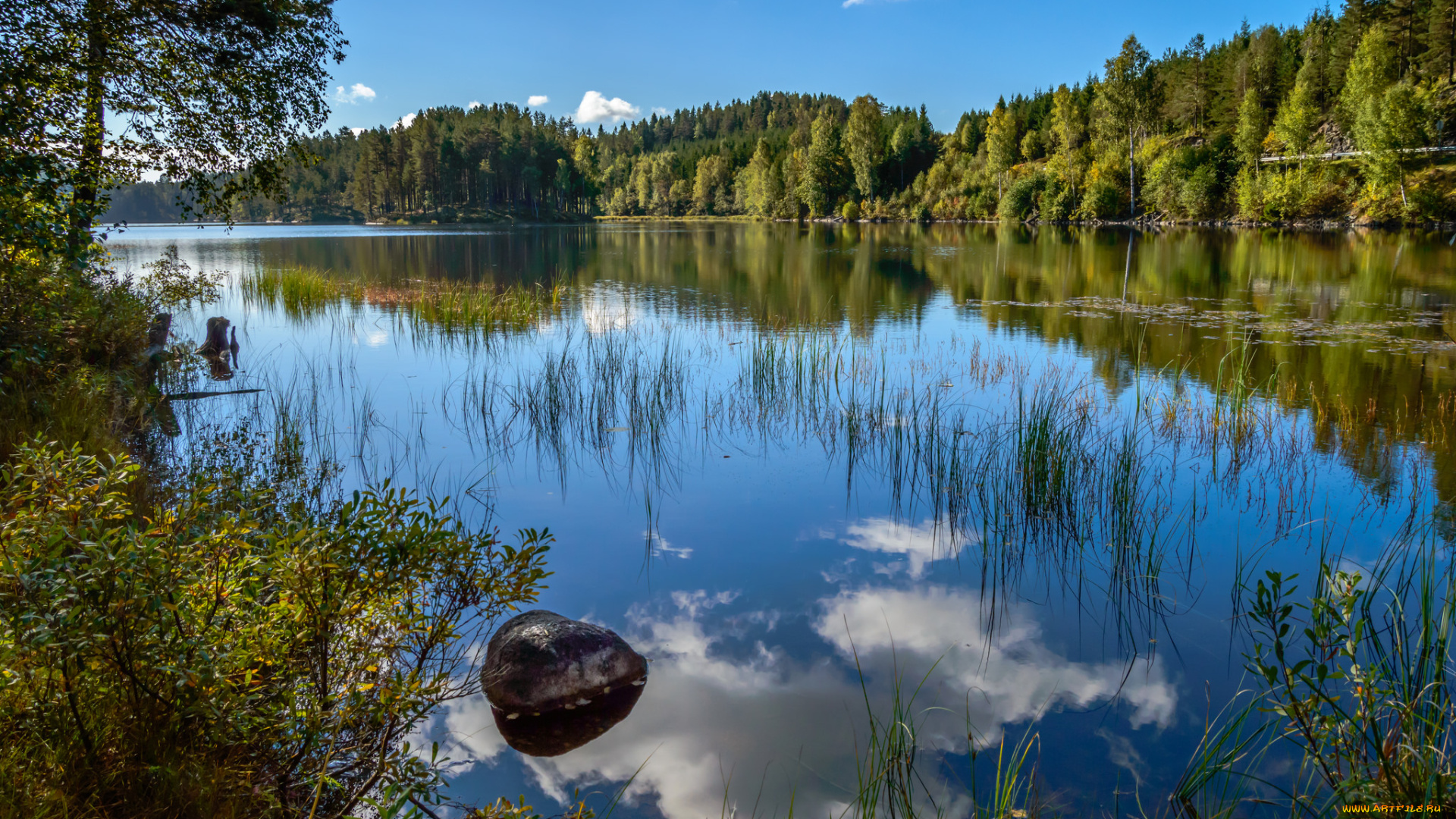 природа, реки, озера, река, лес