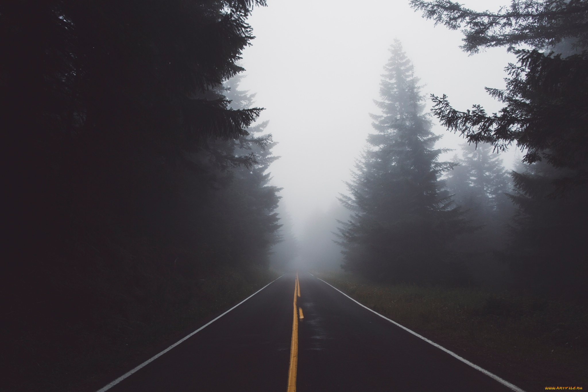 природа, дороги, лес, дорога, дымка, туман