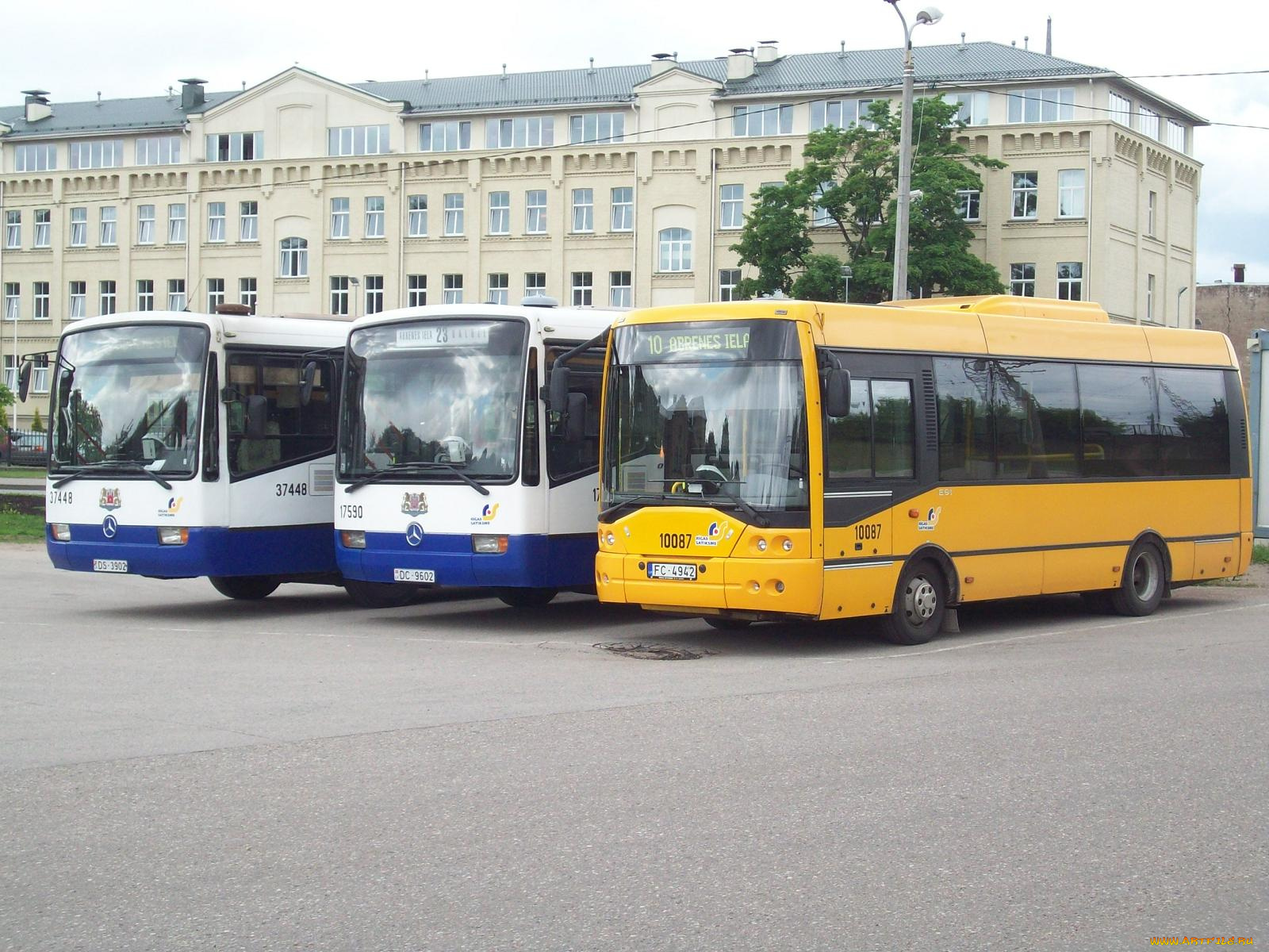 рижские, автобусы, автомобили