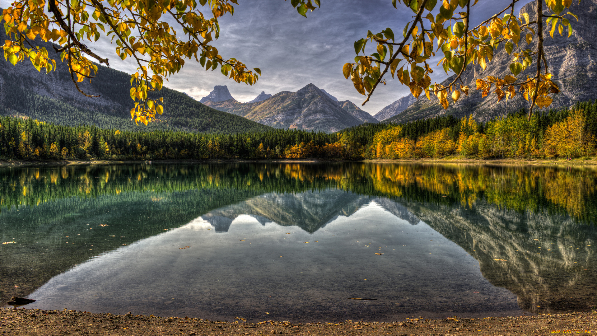 природа, реки, озера, канада, озеро, горы, отражение, ветки, листья, лес