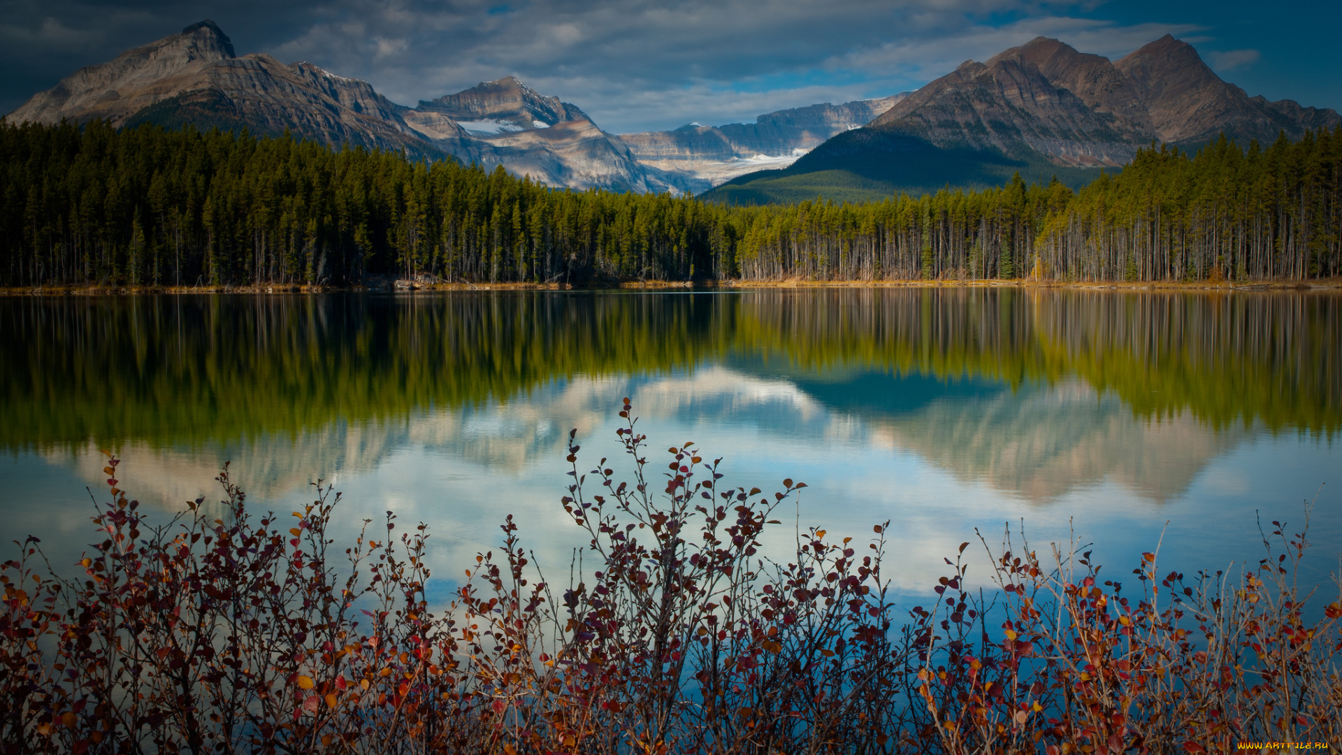природа, реки, озера, канада, озеро, горы, отражение, лес, кусты